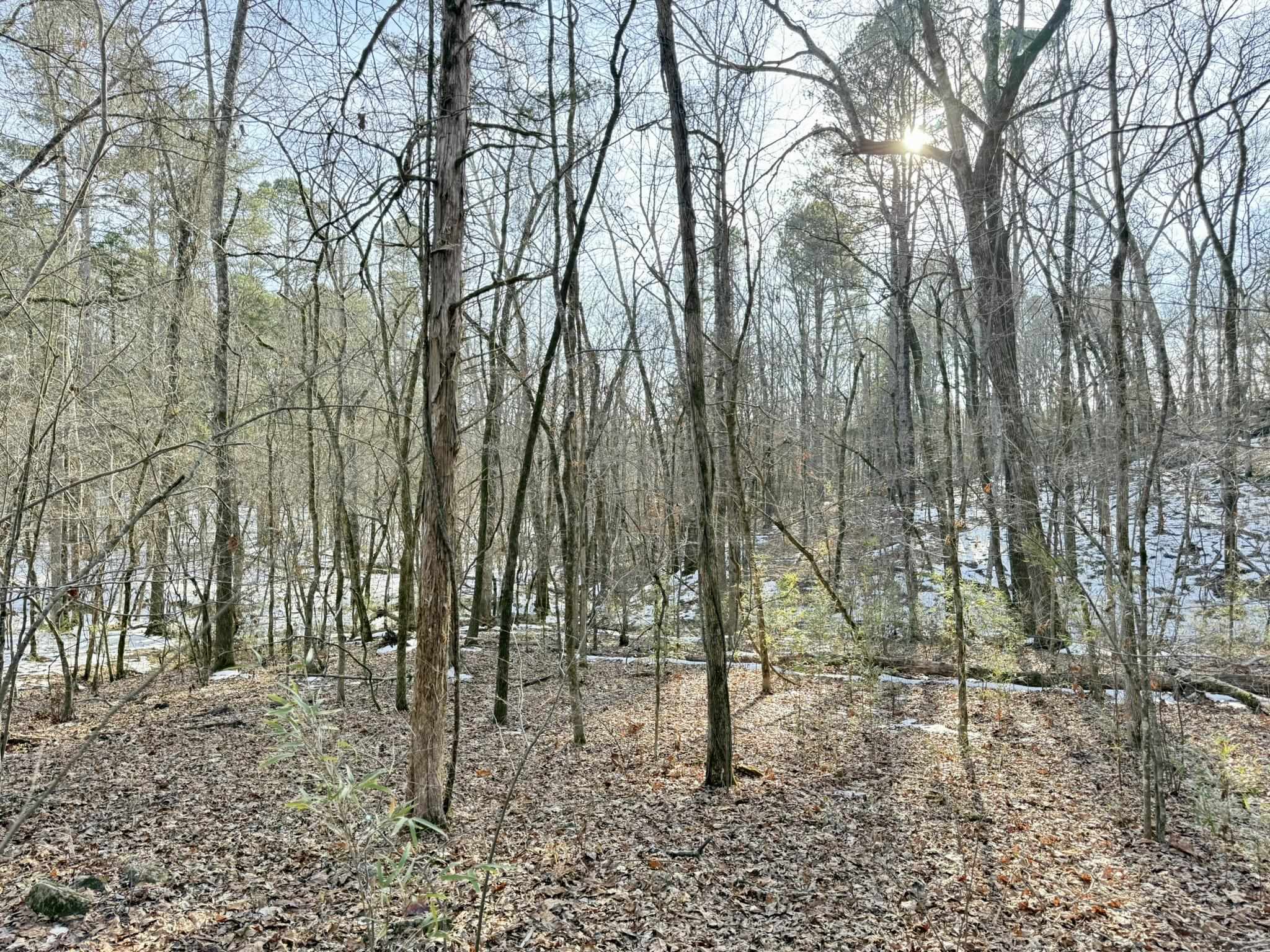 88 Rowden Street  Calico Rock, AR