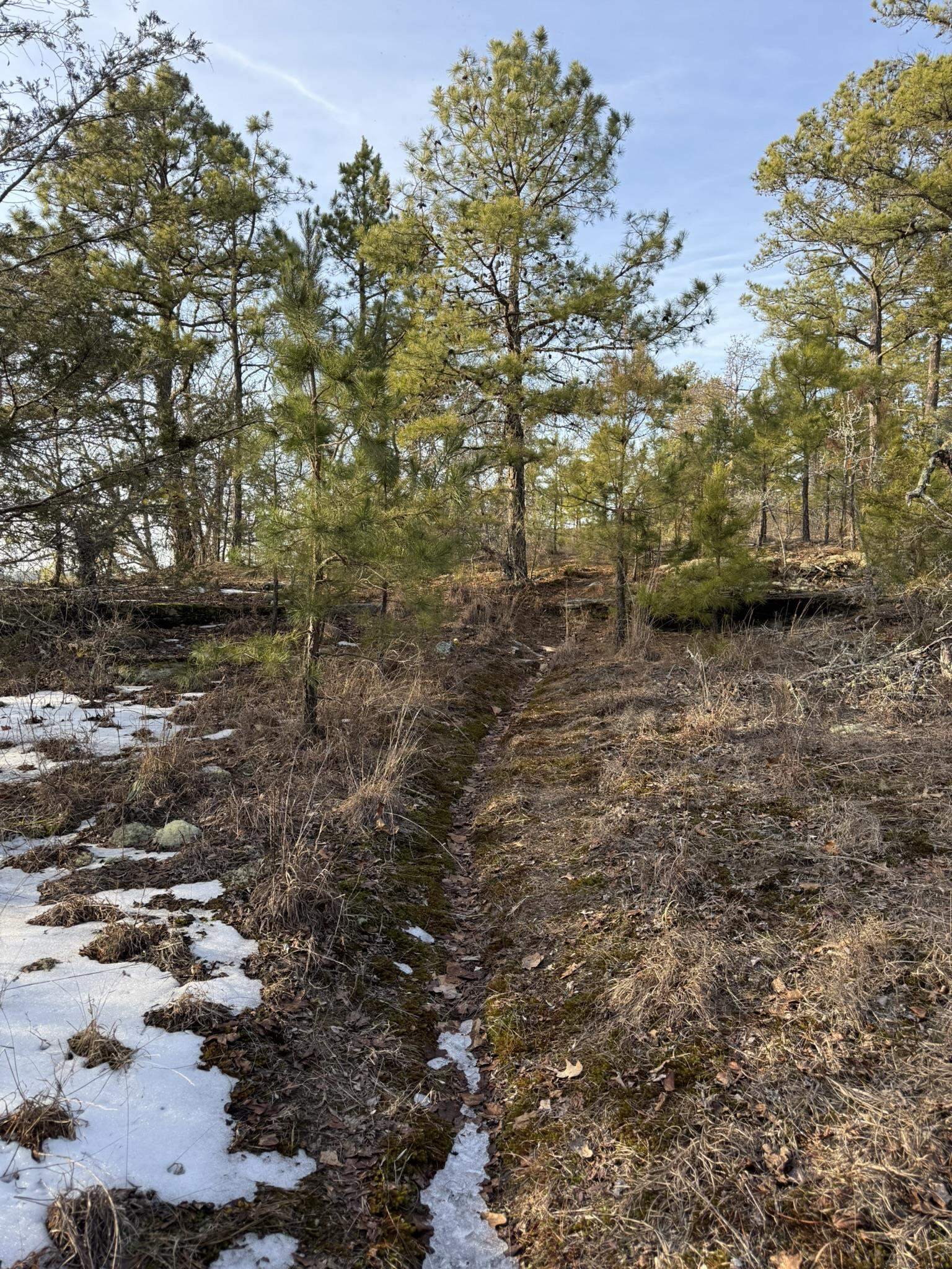 88 Rowden Street  Calico Rock, AR