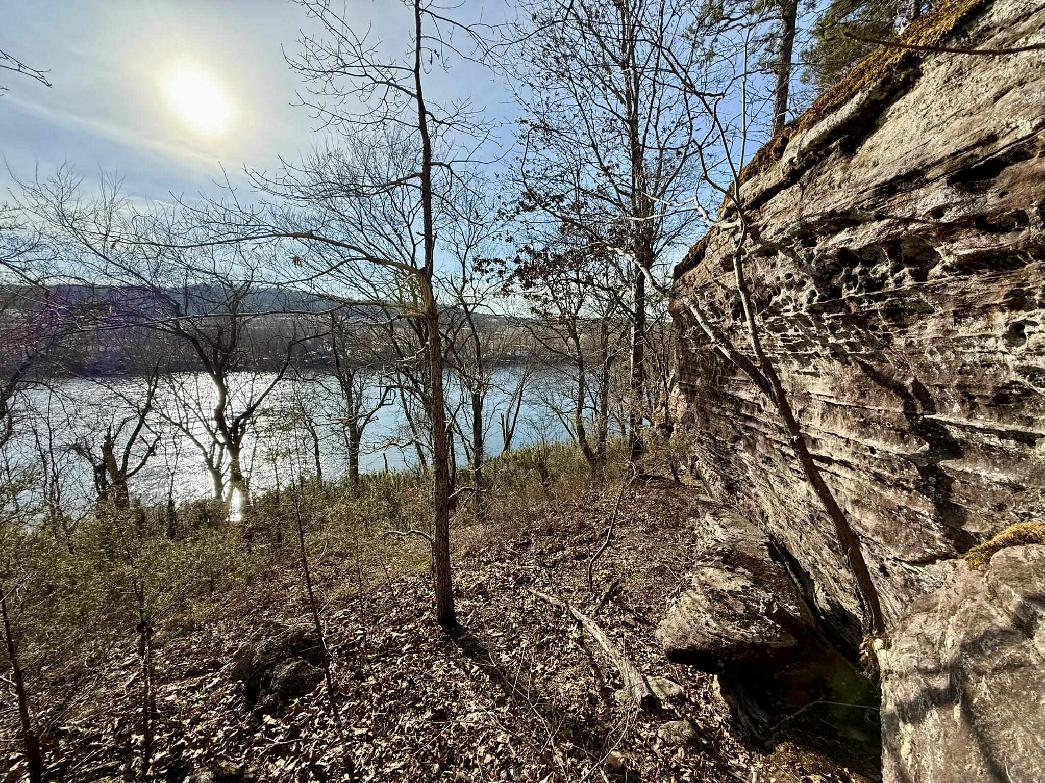 88 Rowden Street  Calico Rock, AR