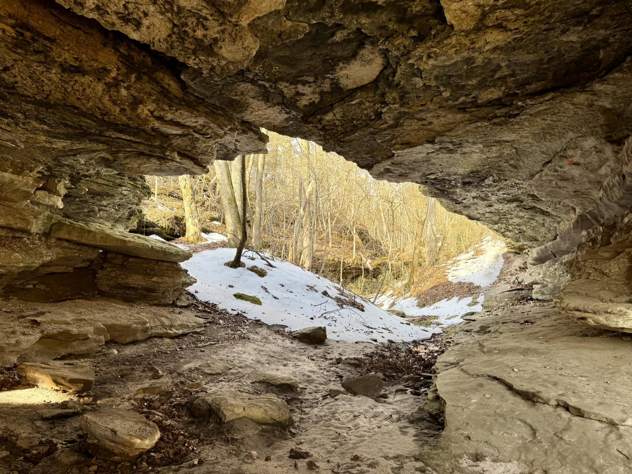 88 Rowden Street  Calico Rock, AR