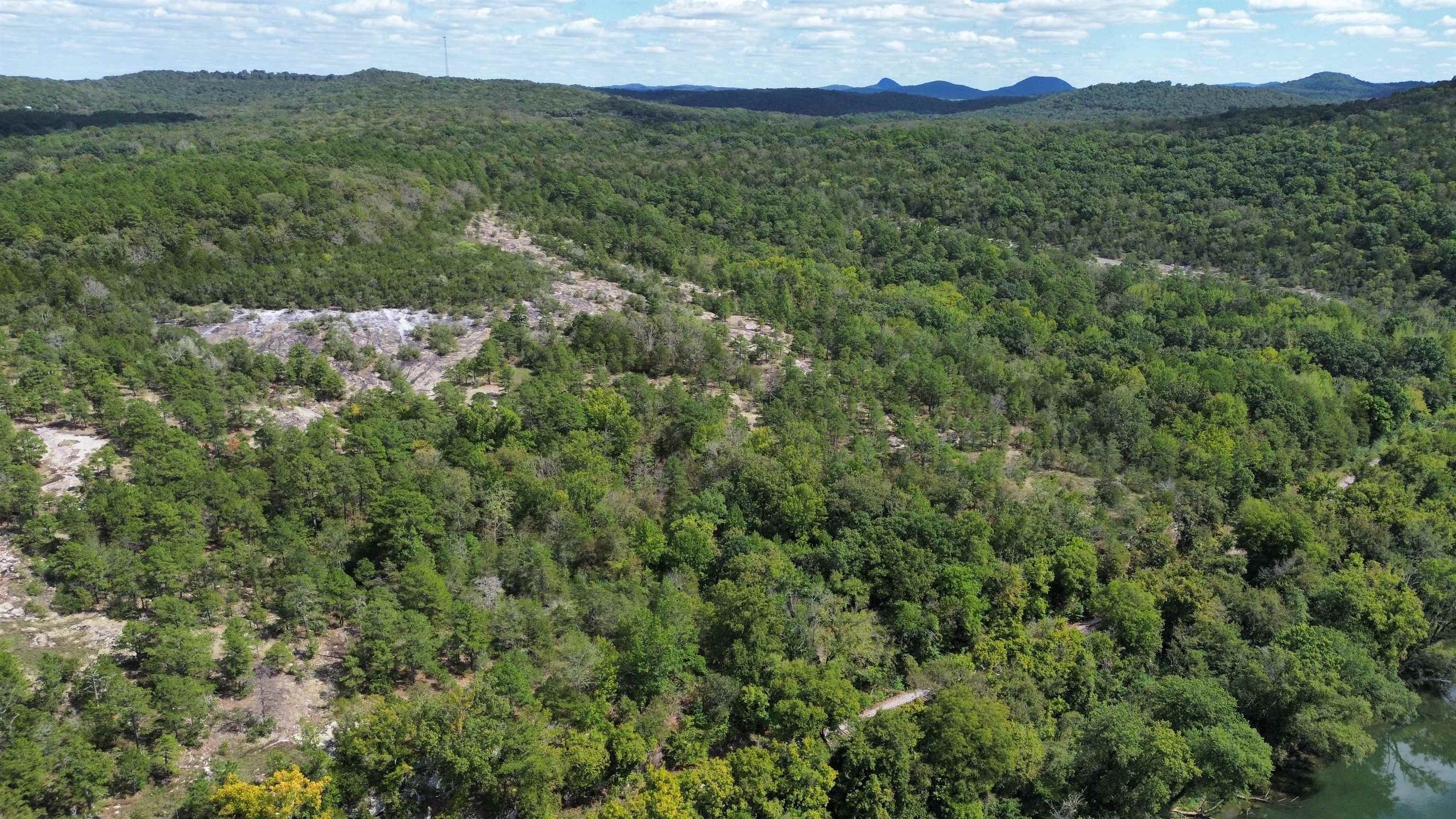 88 Rowden Street  Calico Rock, AR