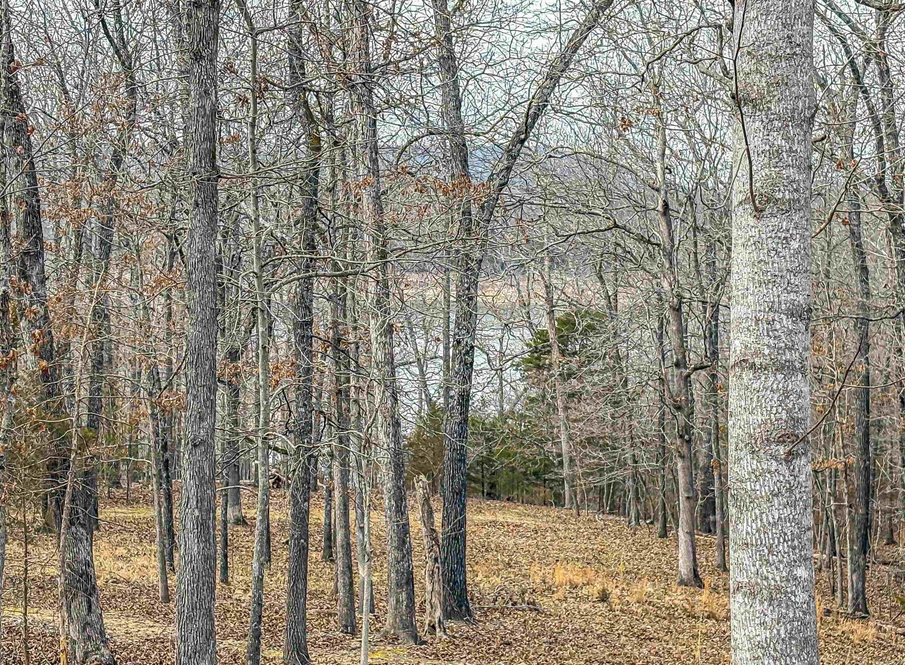 216 MC 8077  Flippin, AR