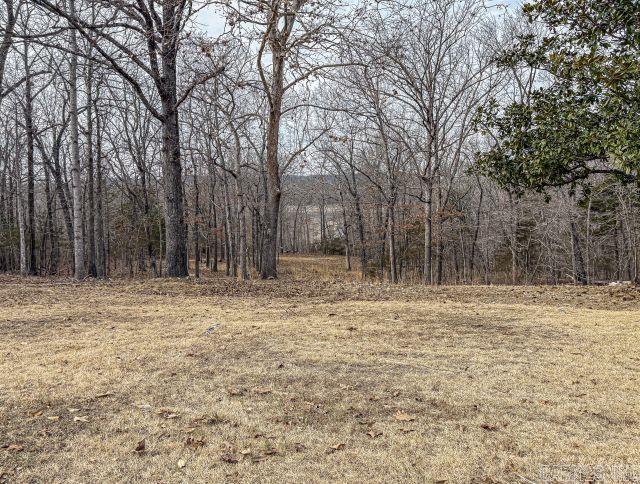 216 MC 8077  Flippin, AR