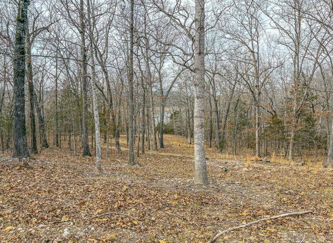 216 MC 8077  Flippin, AR