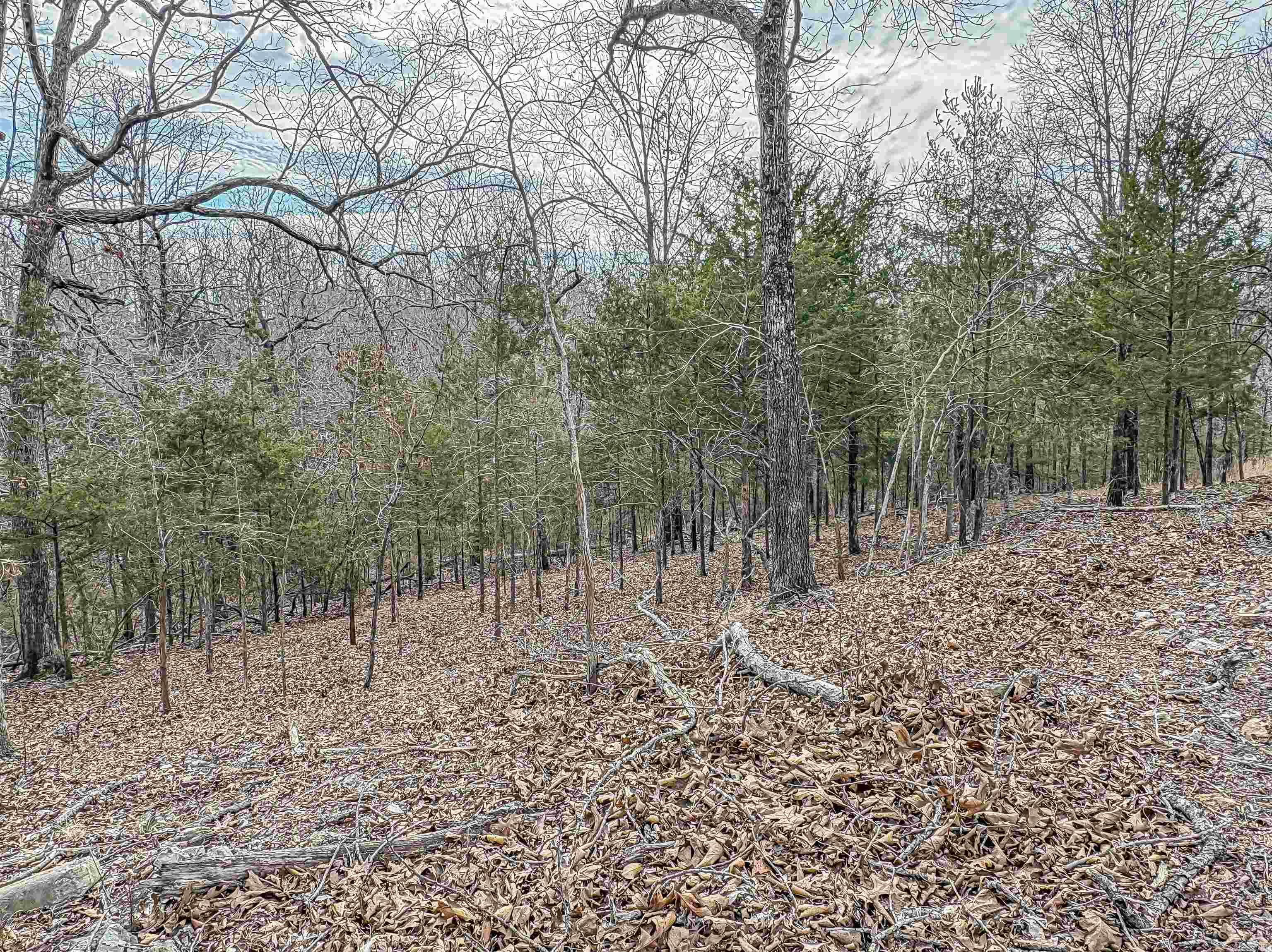 216 MC 8077  Flippin, AR