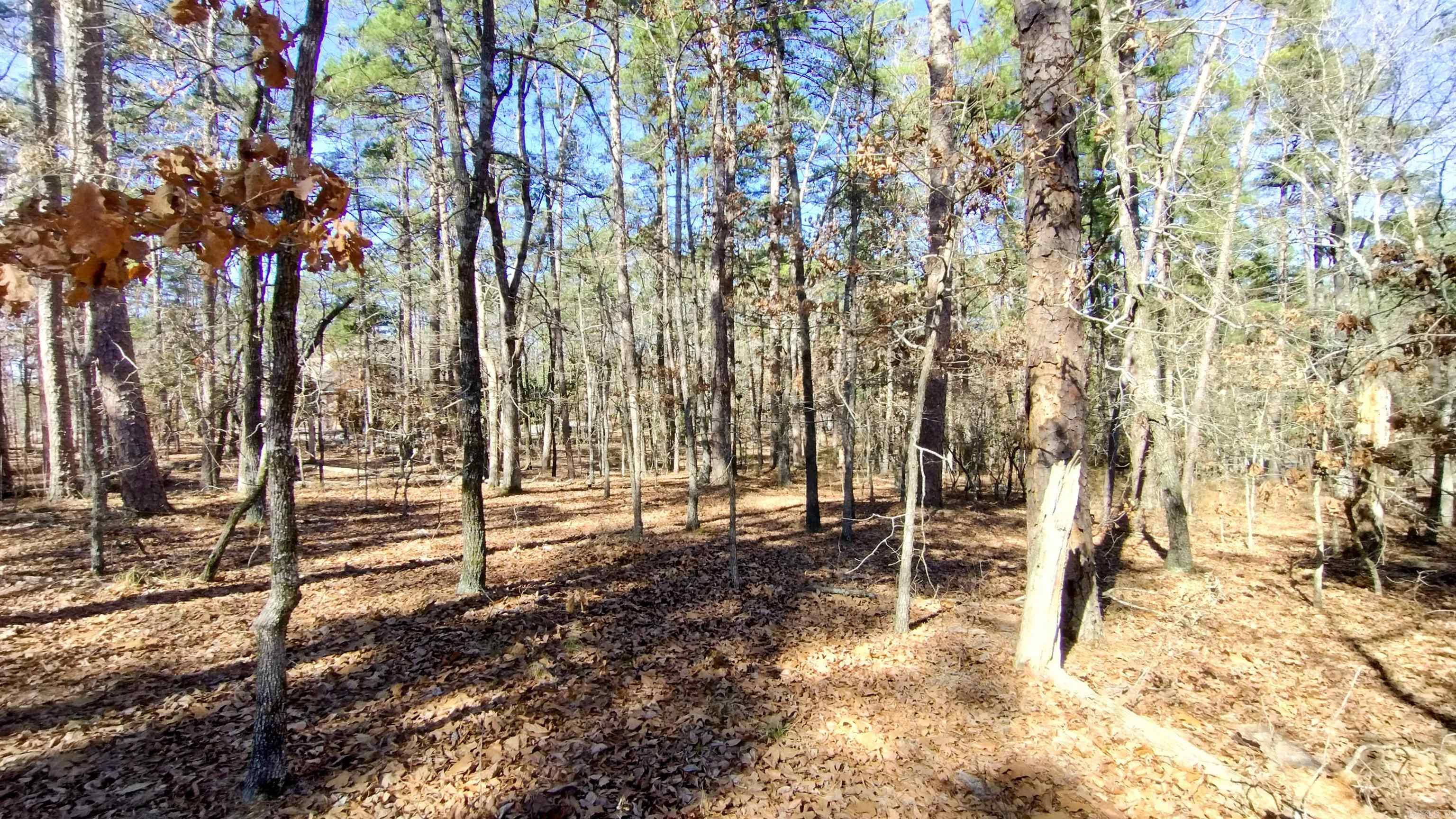 45 Cresta  Hot Springs Village, AR