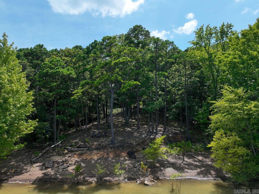 144 Lake Point Drive  Quitman, AR