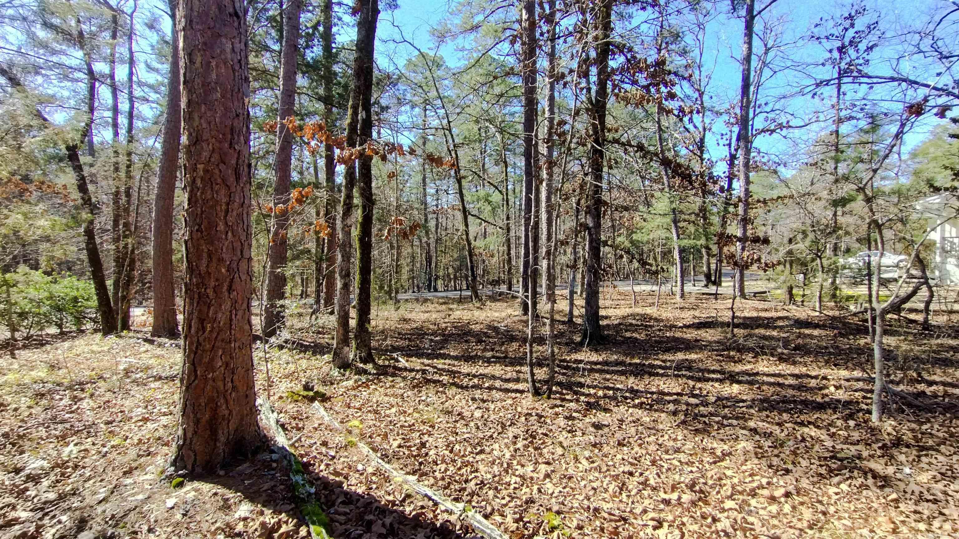 71 Cresta  Hot Springs Village, AR