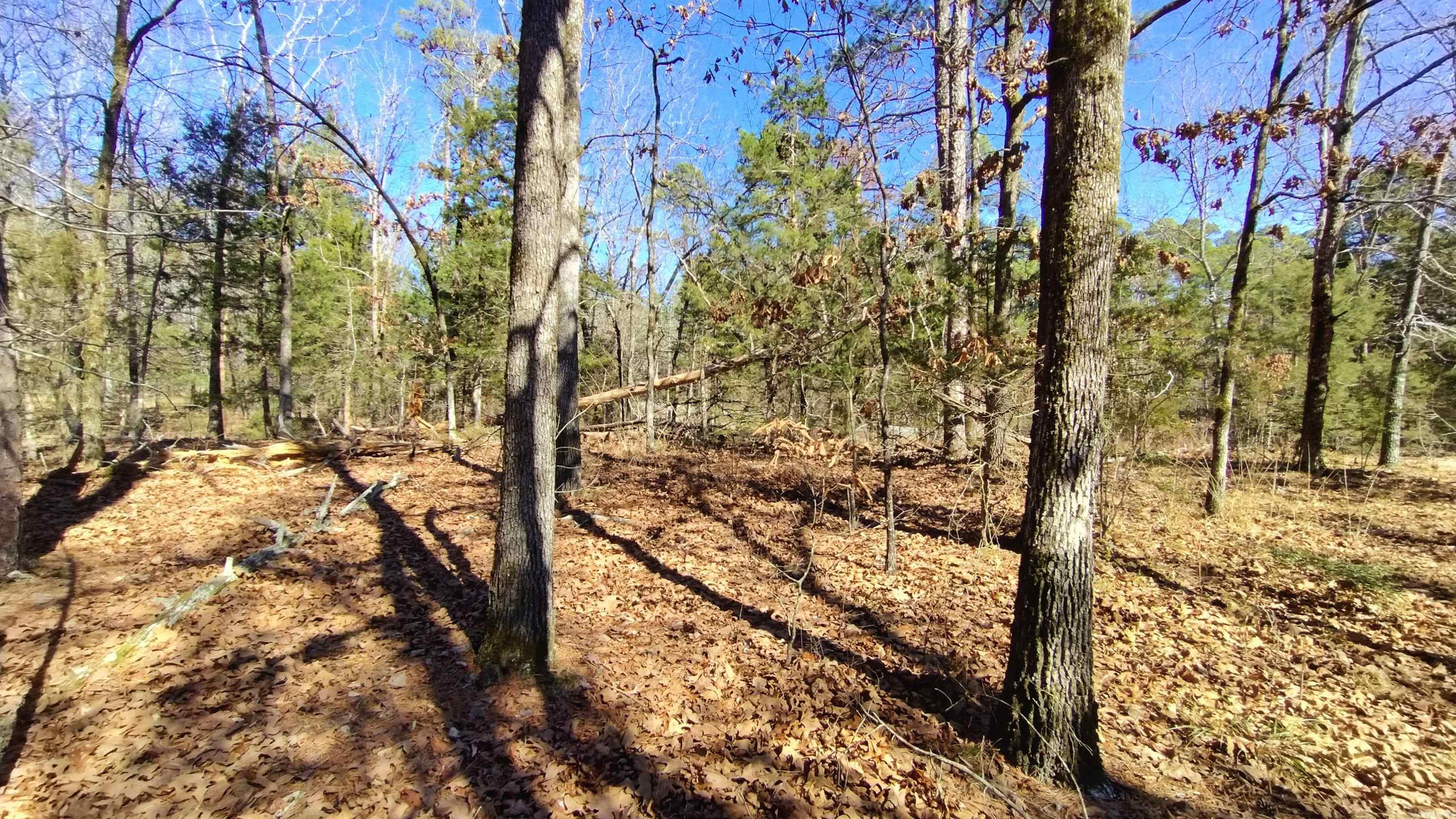 71 Cresta  Hot Springs Village, AR