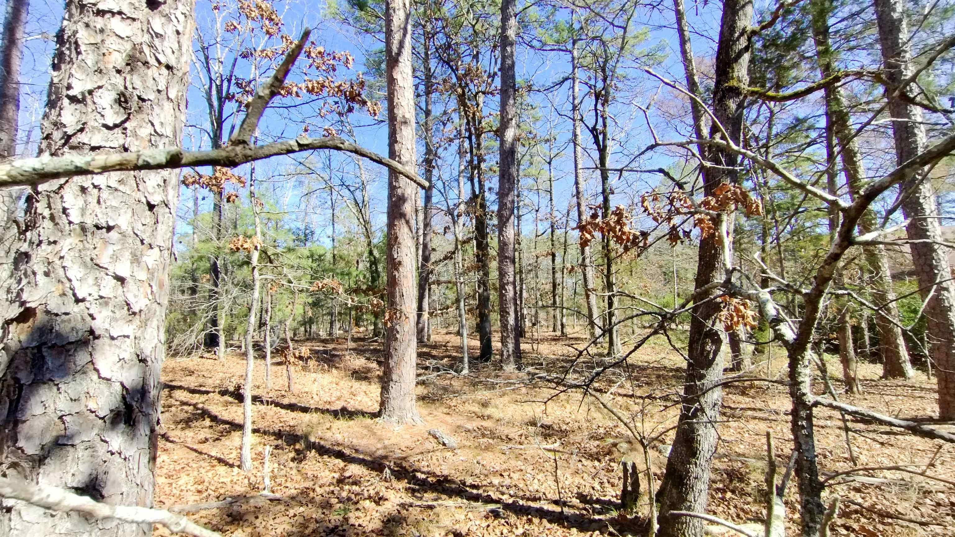 71 Cresta  Hot Springs Village, AR