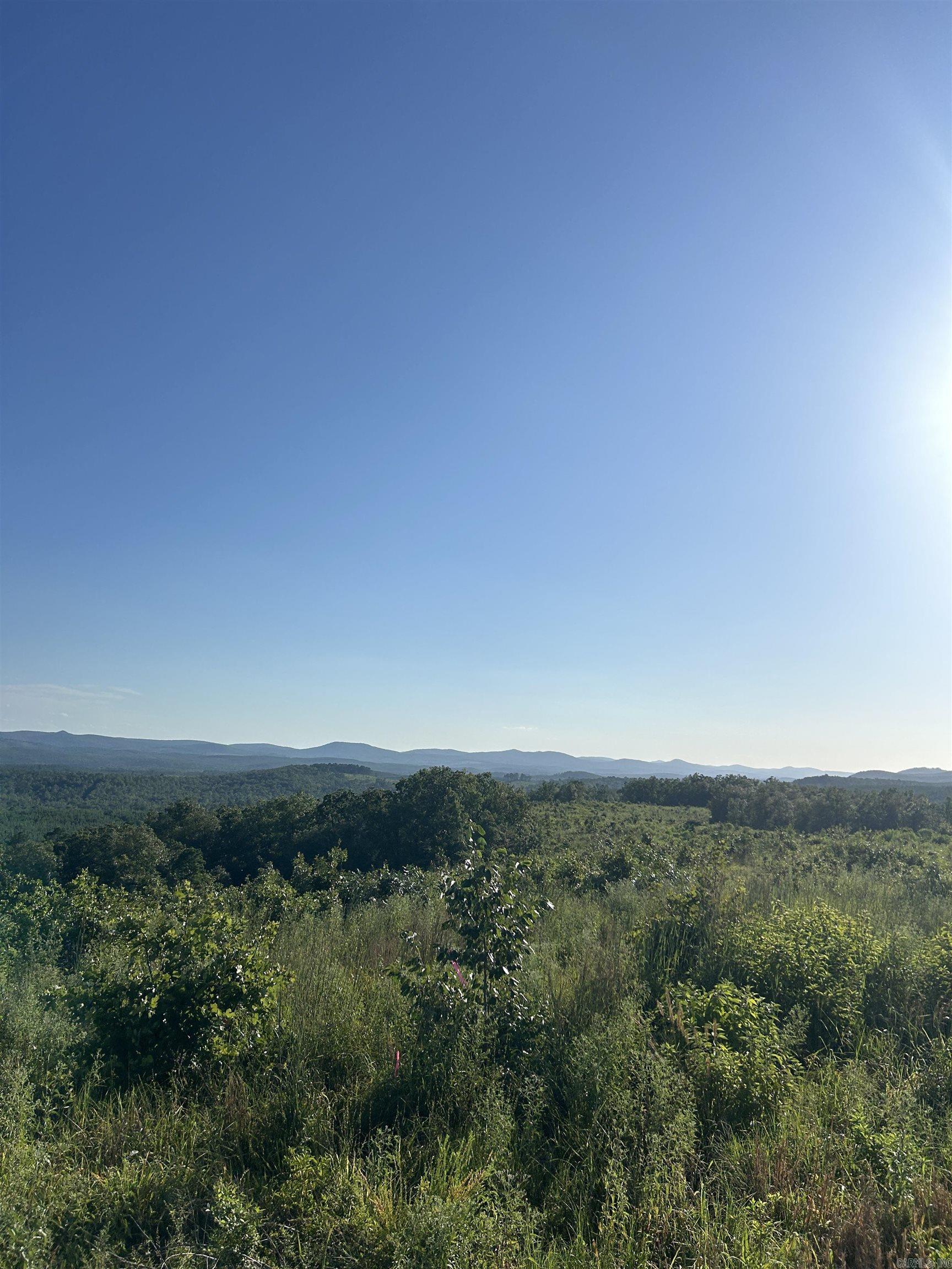 Lakeview West Way  Roland, AR