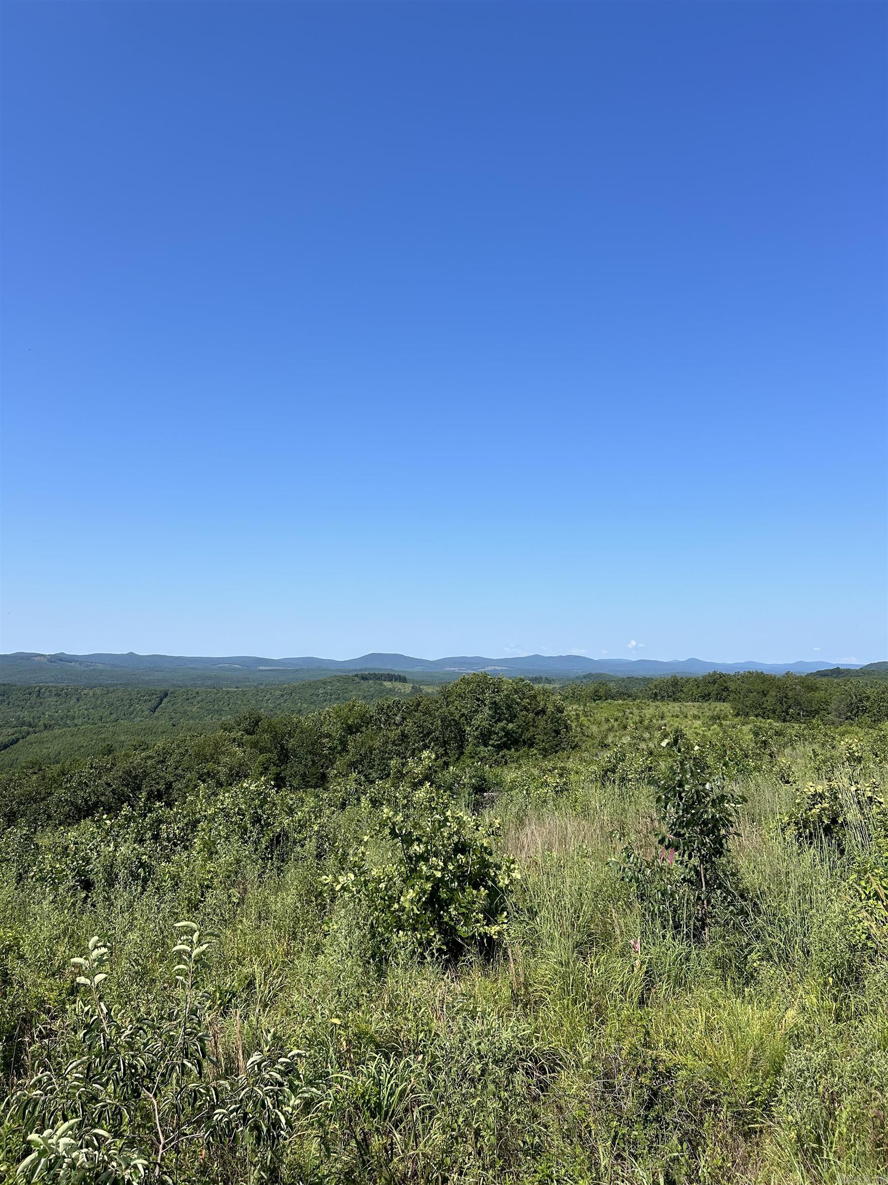 Lakeview West Way  Roland, AR