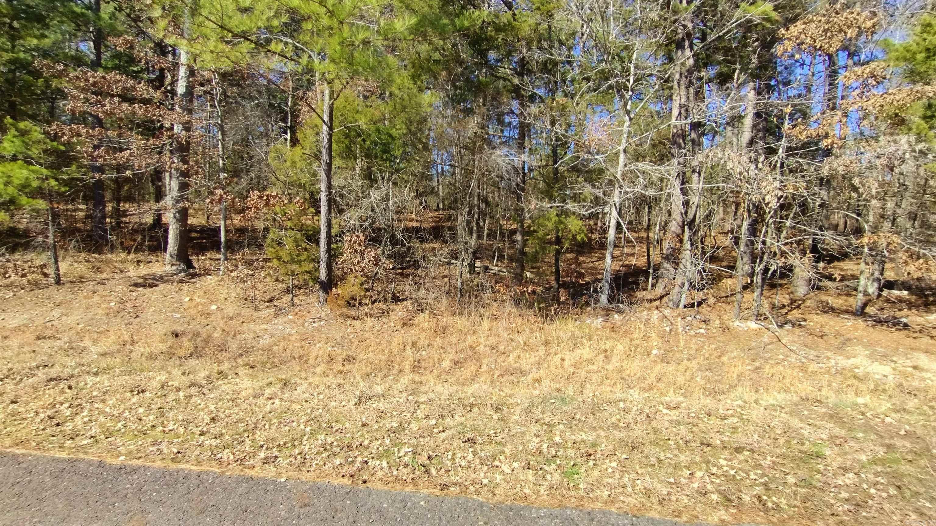 21 Algeciras  Hot Springs Village, AR