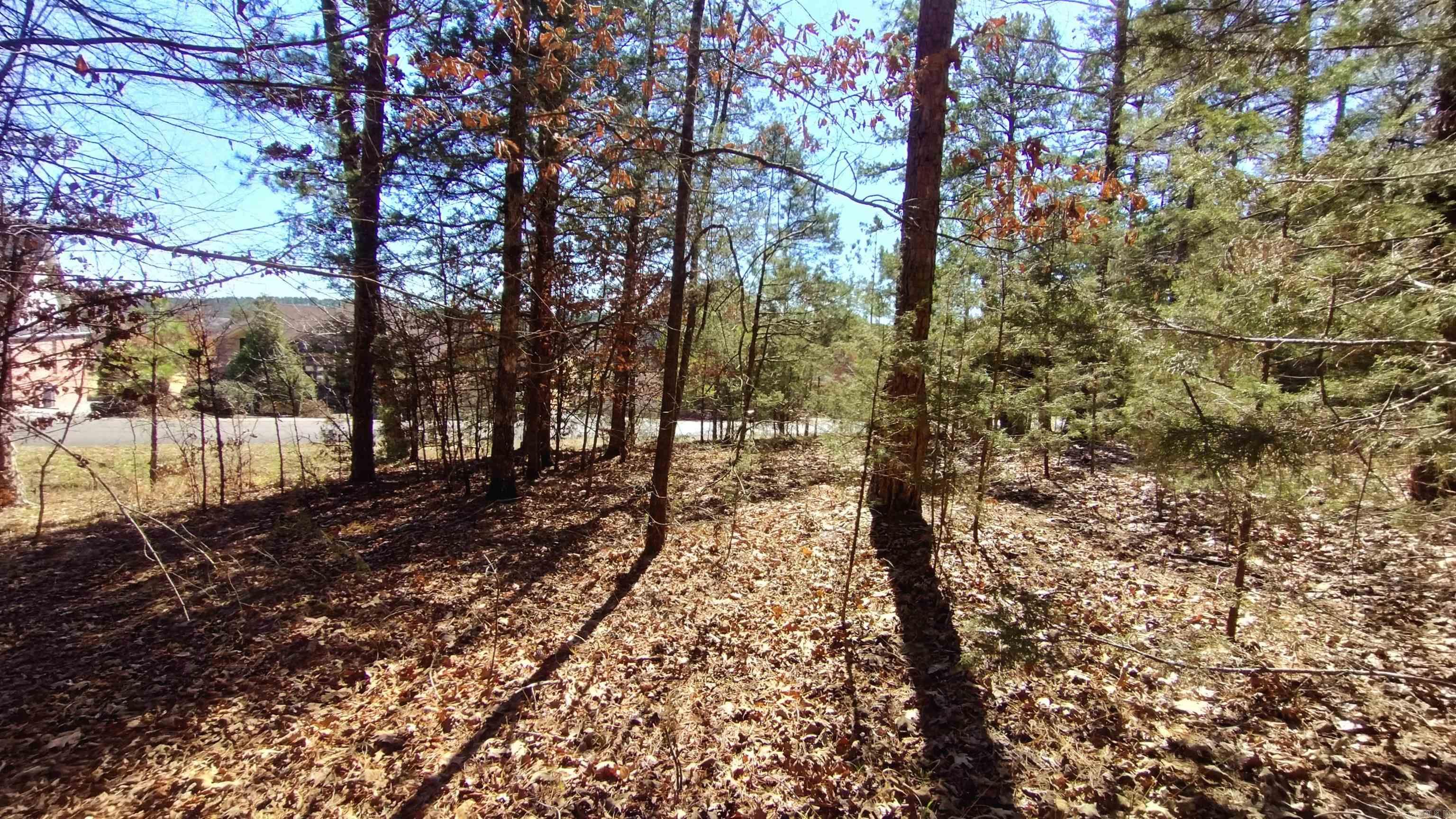 21 Algeciras  Hot Springs Village, AR