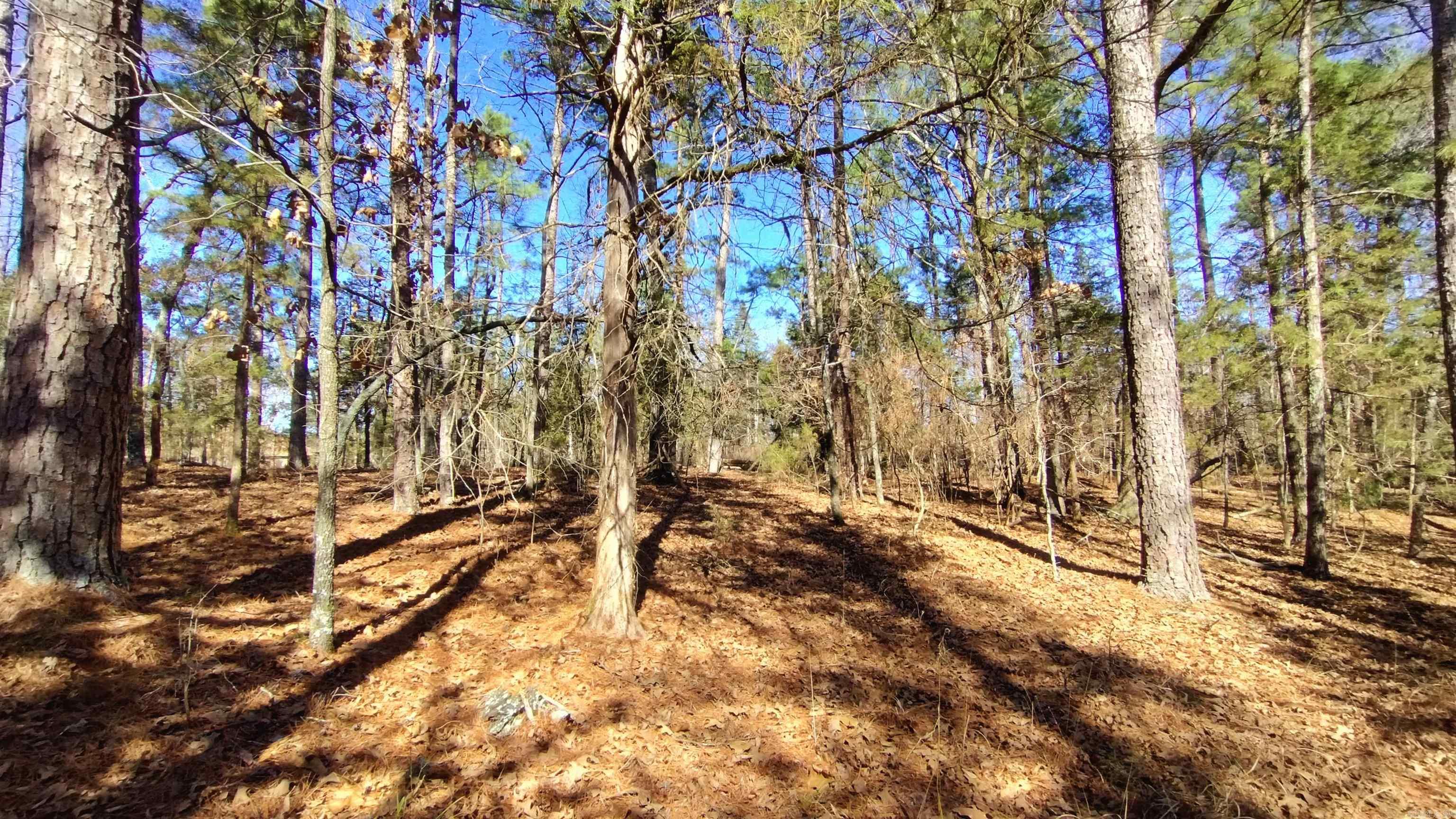 21 Algeciras  Hot Springs Village, AR