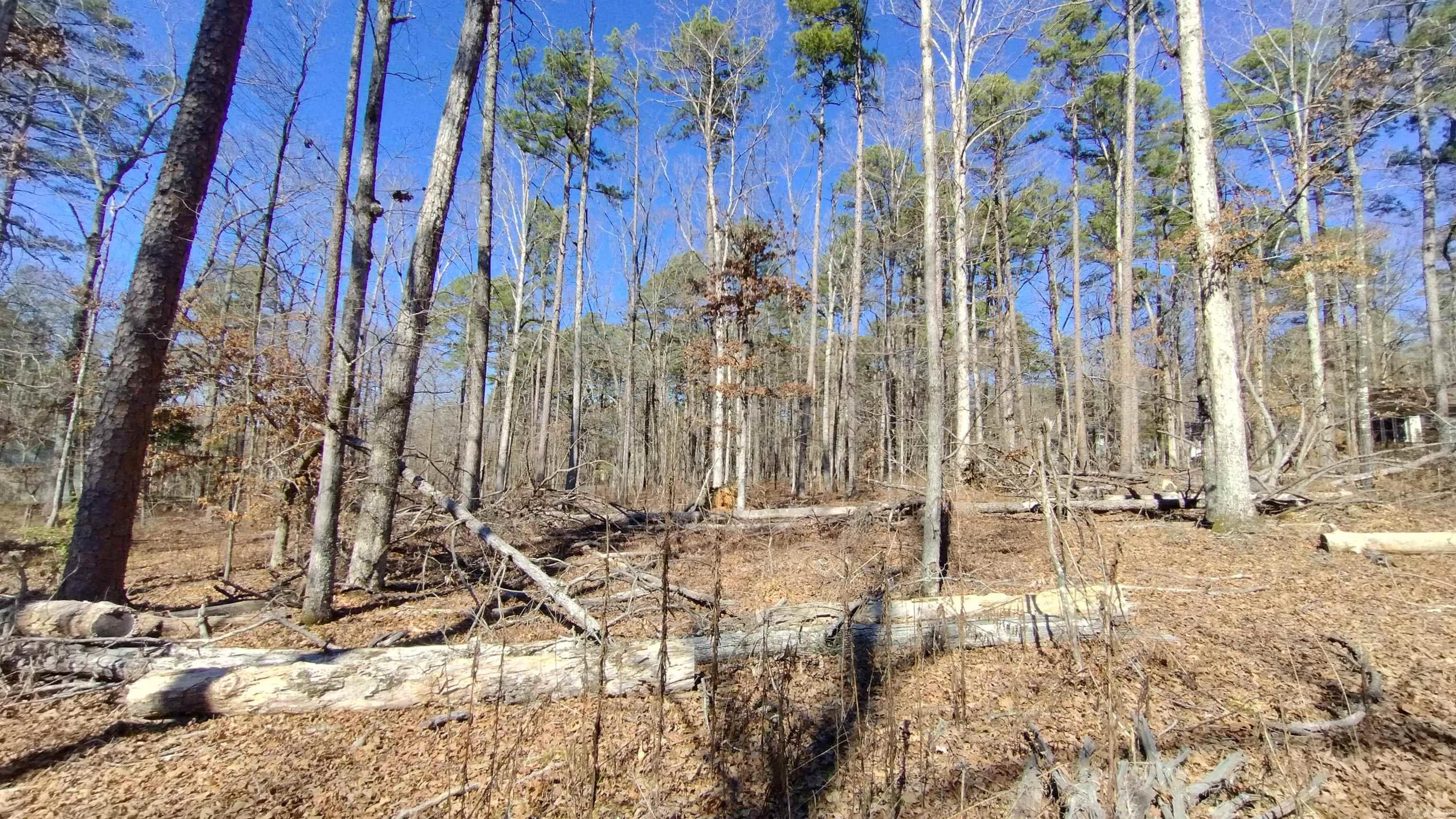 11 Orense  Hot Springs Village, AR