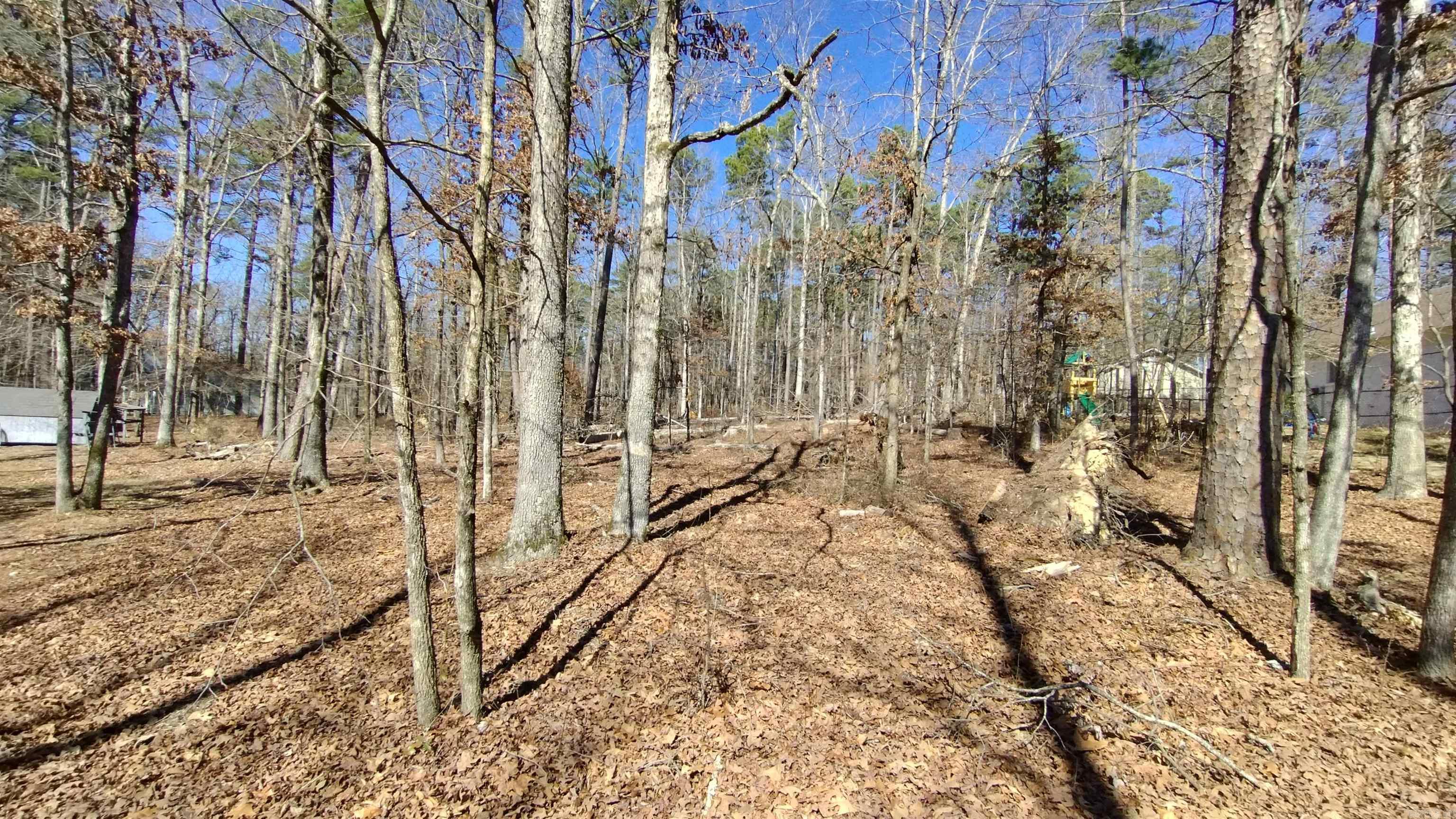 11 Orense  Hot Springs Village, AR