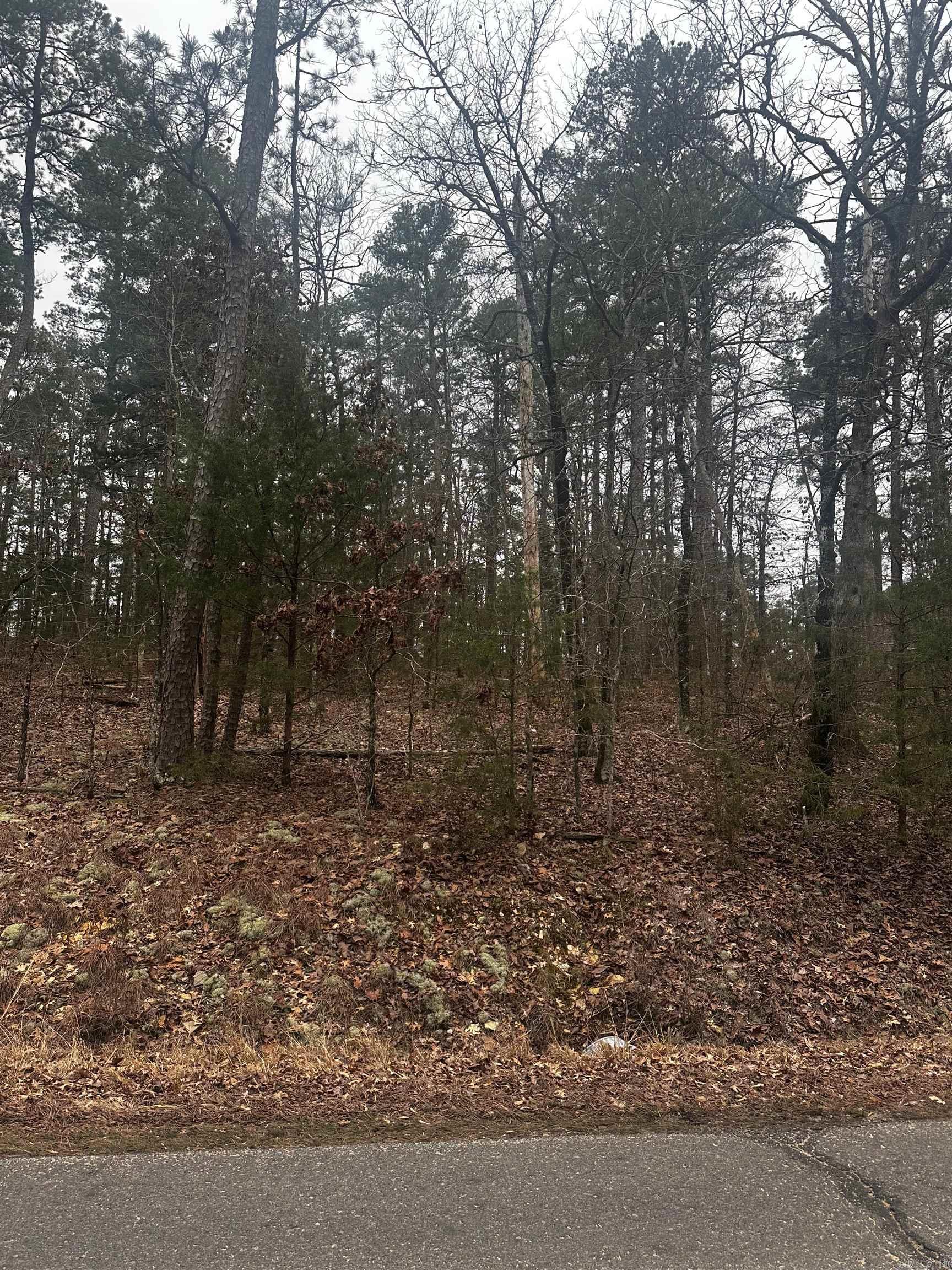  Cetrero  Hot Springs Village, AR