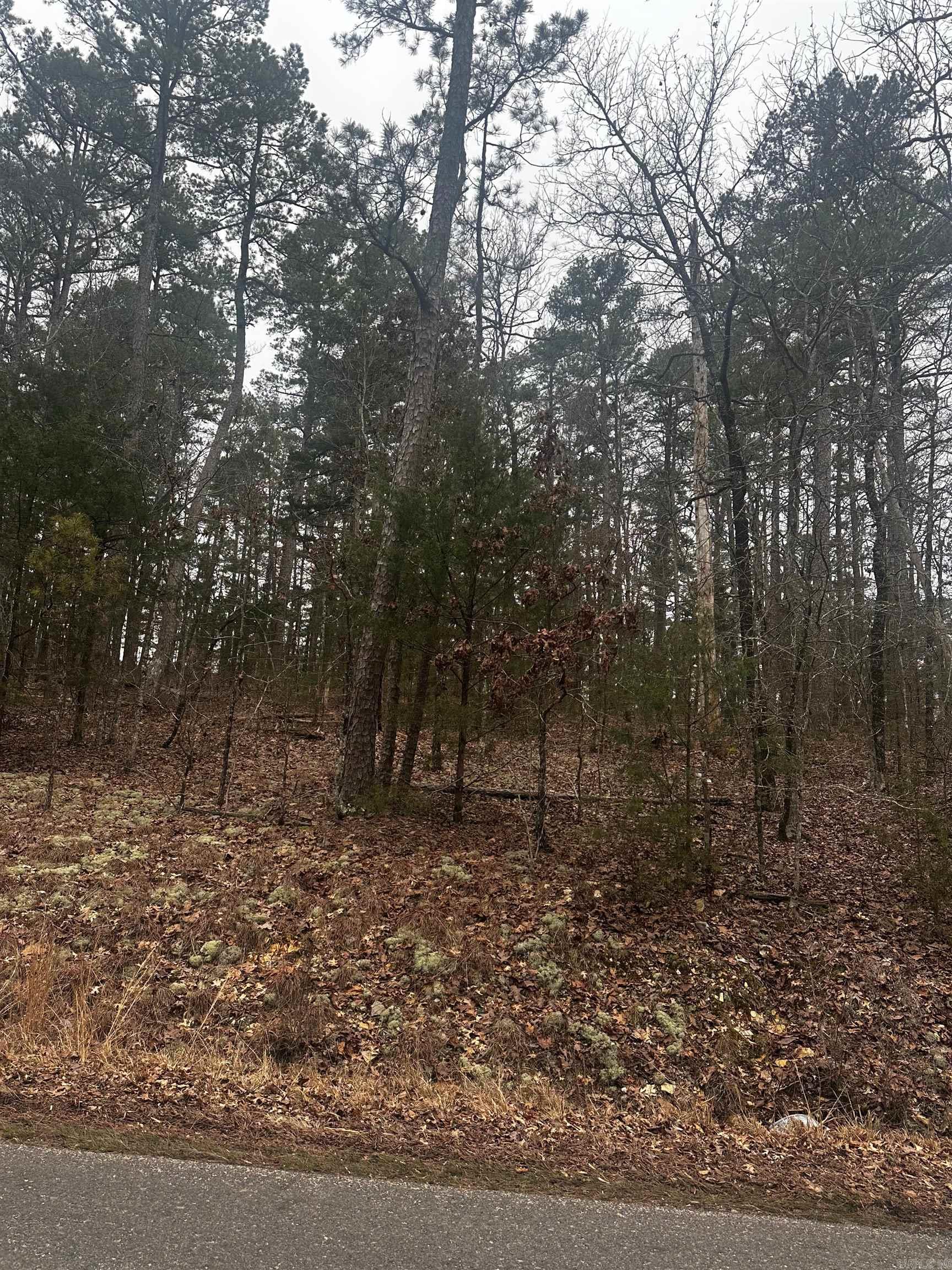  Cetrero  Hot Springs Village, AR