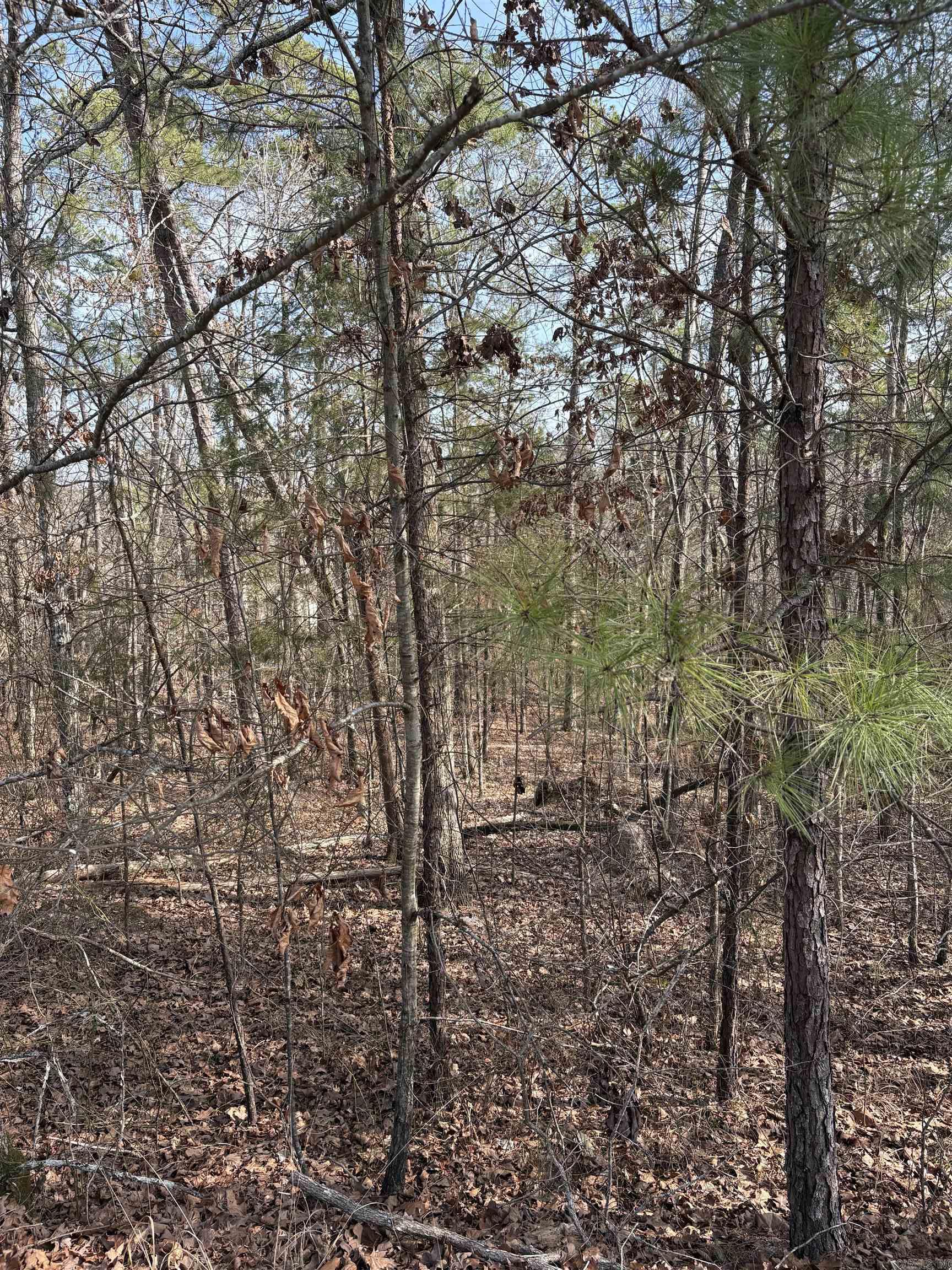  Cetrero  Hot Springs Village, AR