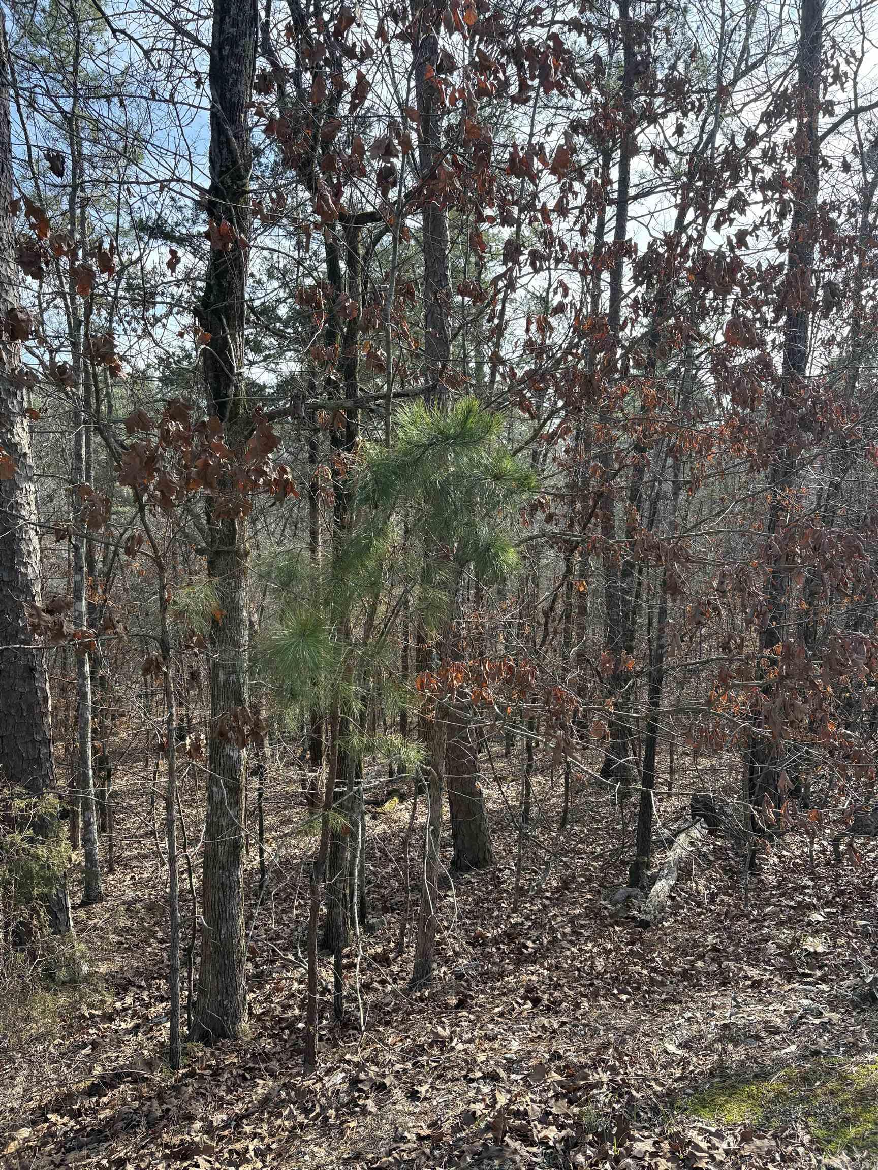  Cetrero  Hot Springs Village, AR