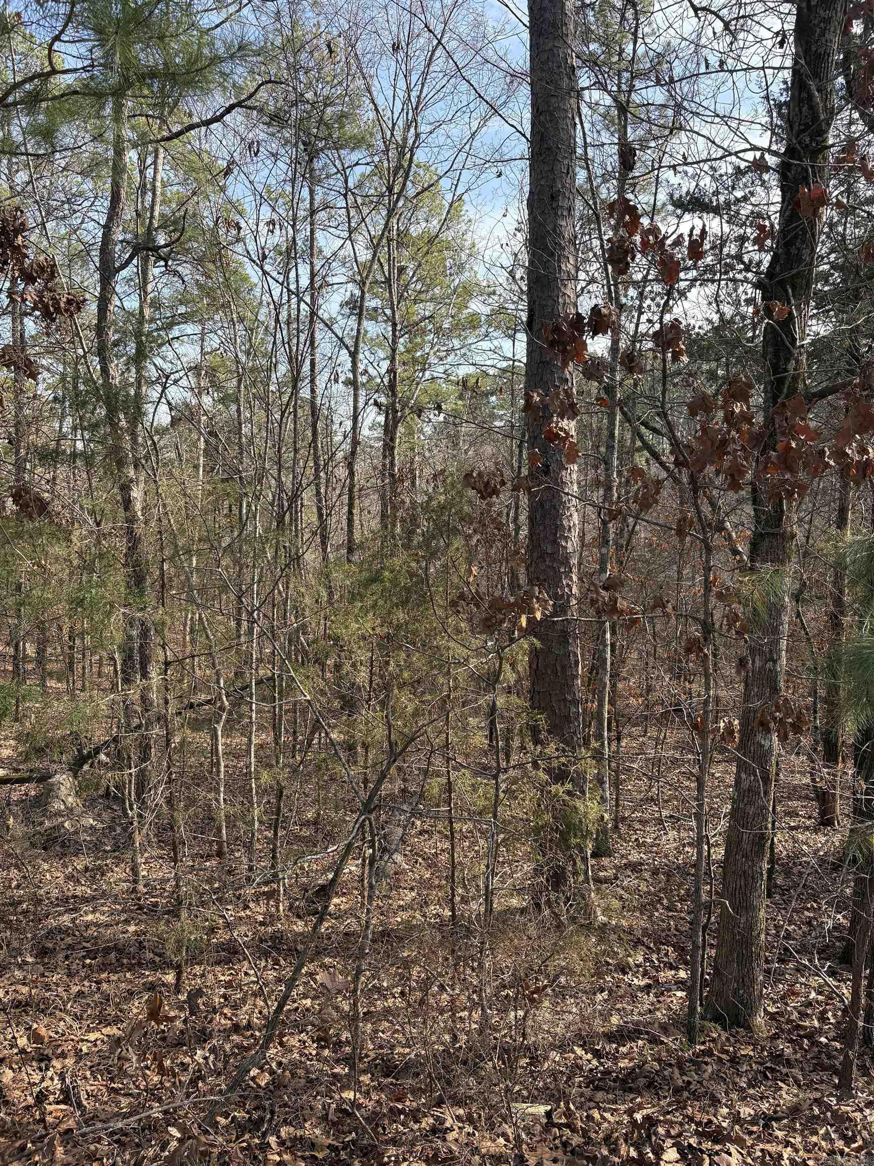  Cetrero  Hot Springs Village, AR