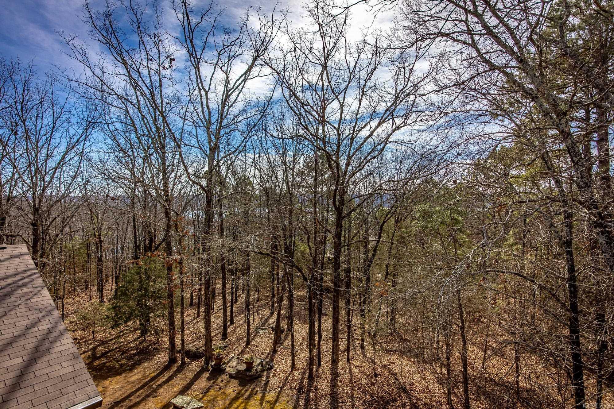 4205 Southwind  Heber Springs, AR