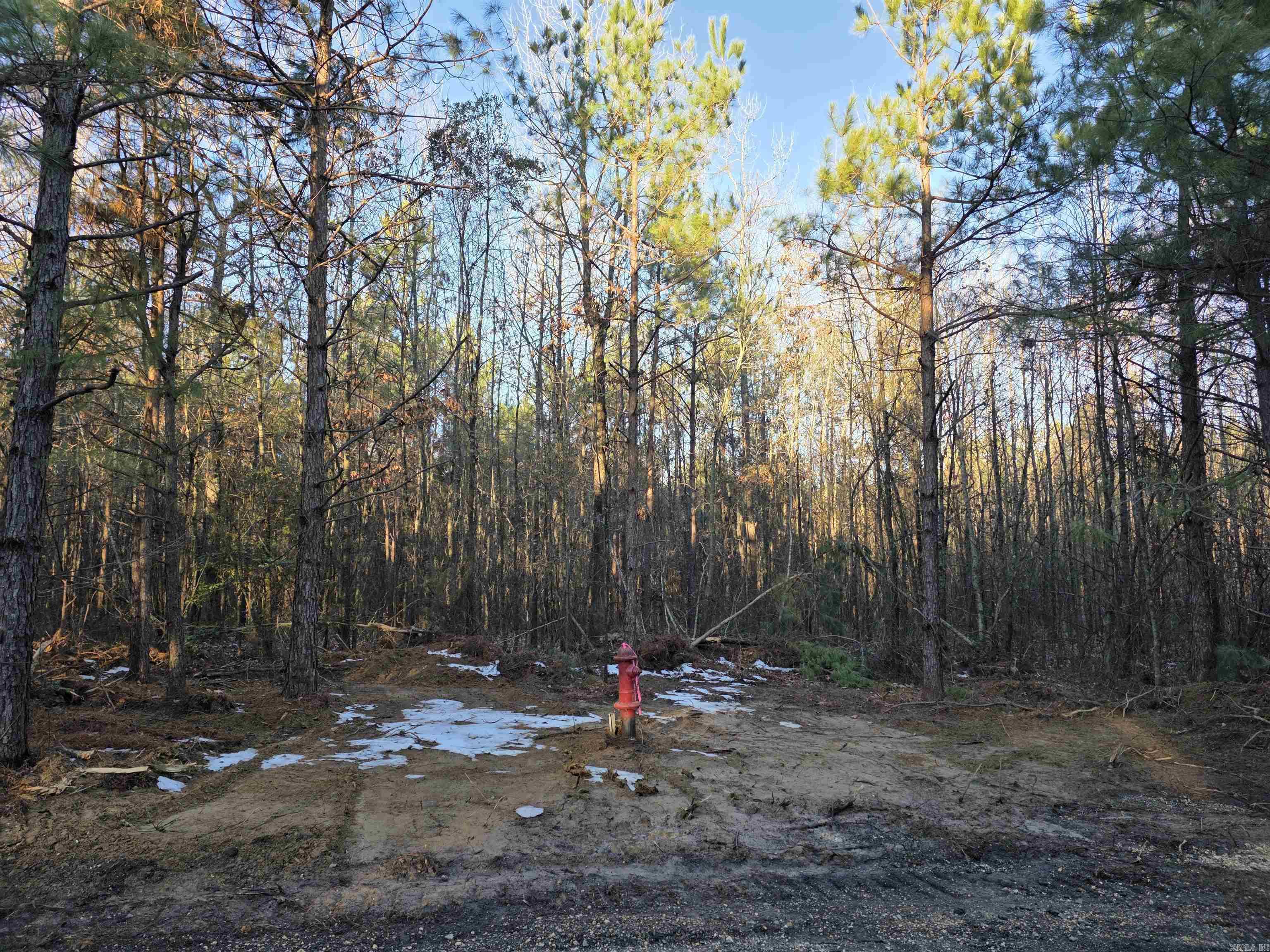 800 Southwood  Rison, AR