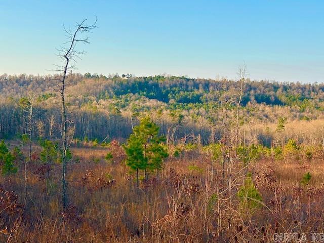 1334 Sutterfield  Fox, AR