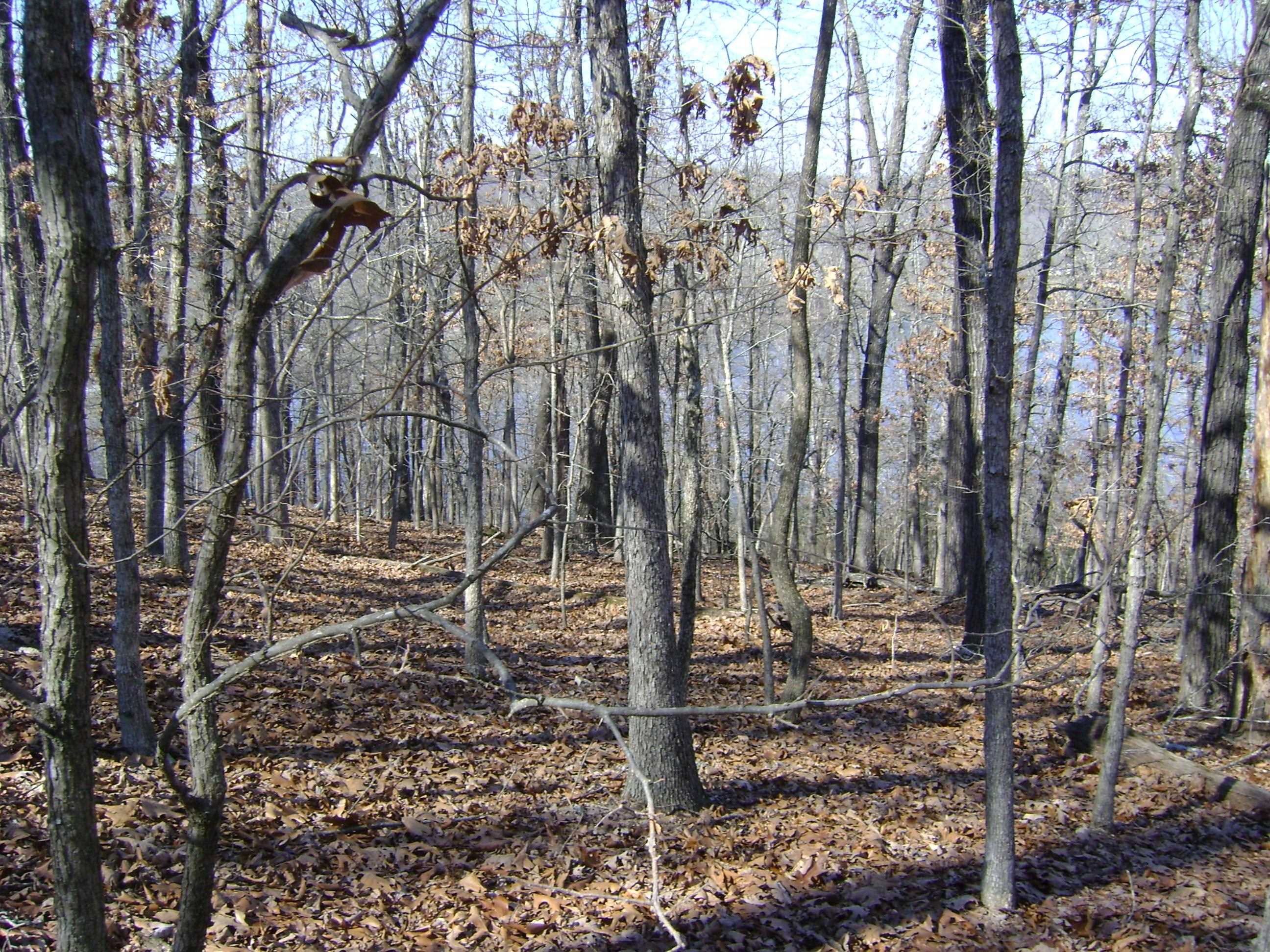 1301 View Park Circle  Horseshoe Bend, AR