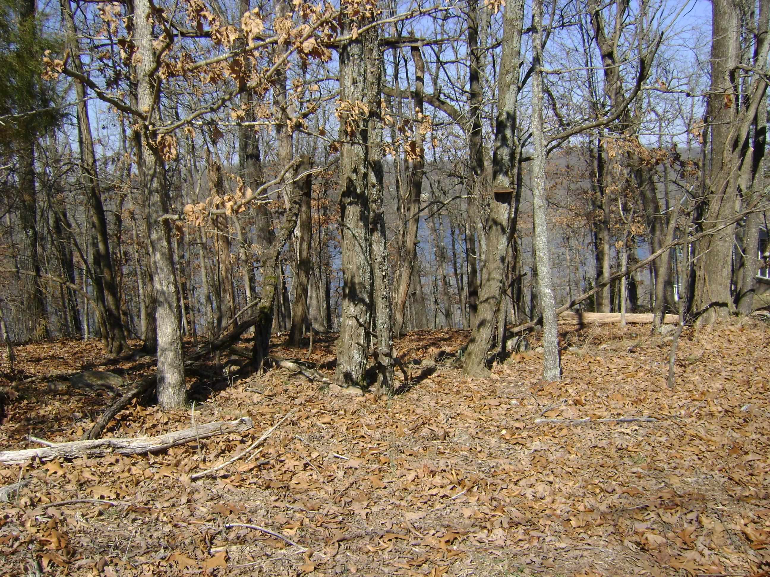 1301 View Park Circle  Horseshoe Bend, AR