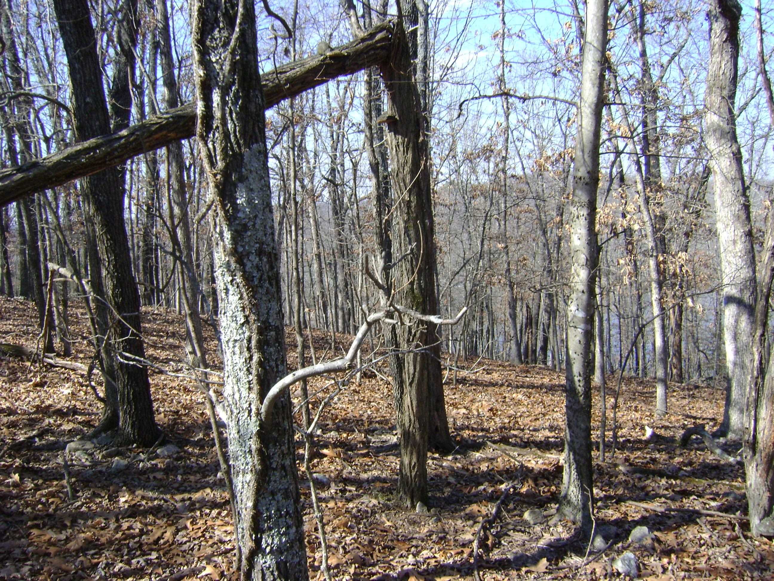 1301 View Park Circle  Horseshoe Bend, AR