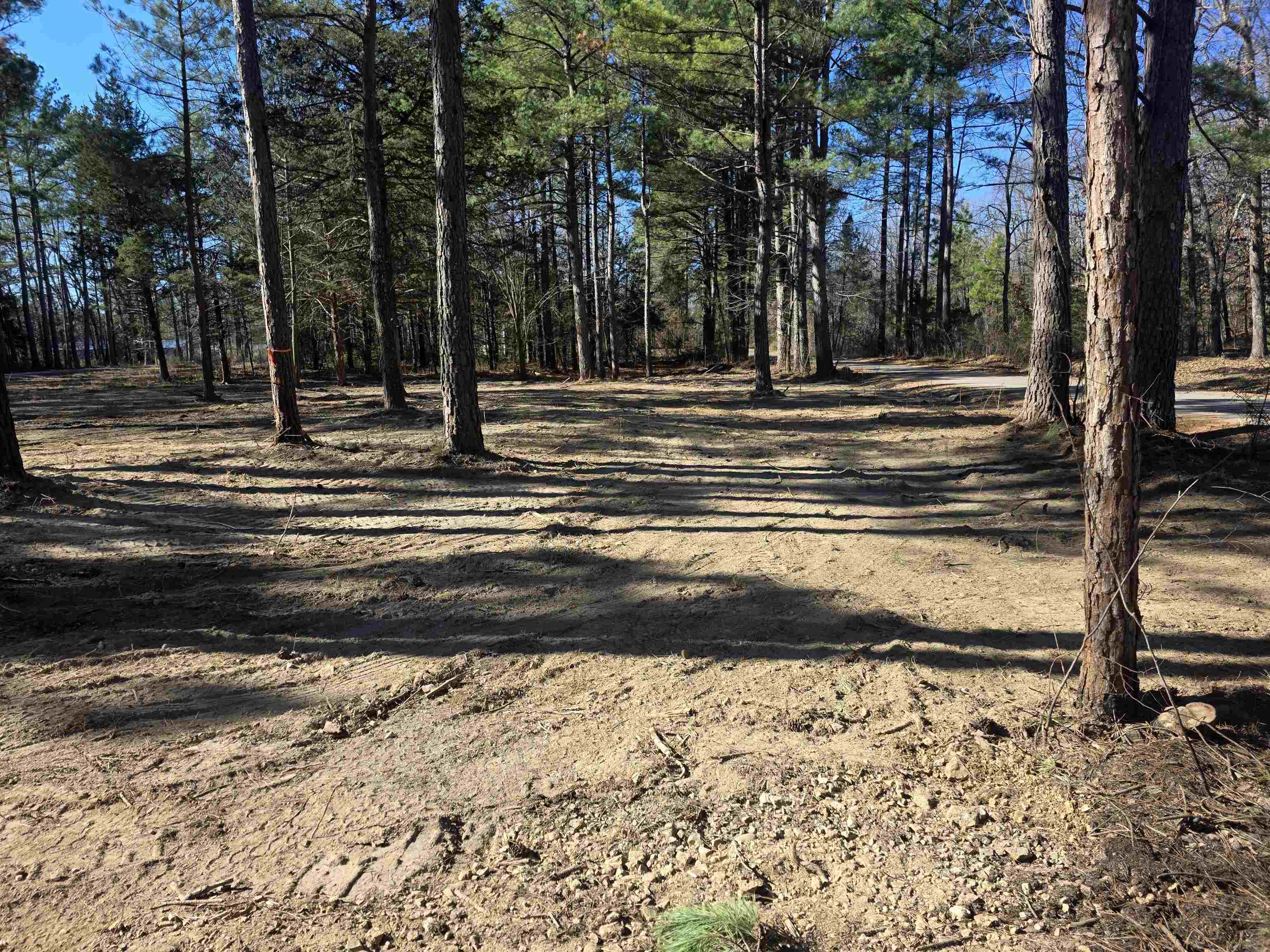 22 Tonsue  Cherokee Village, AR