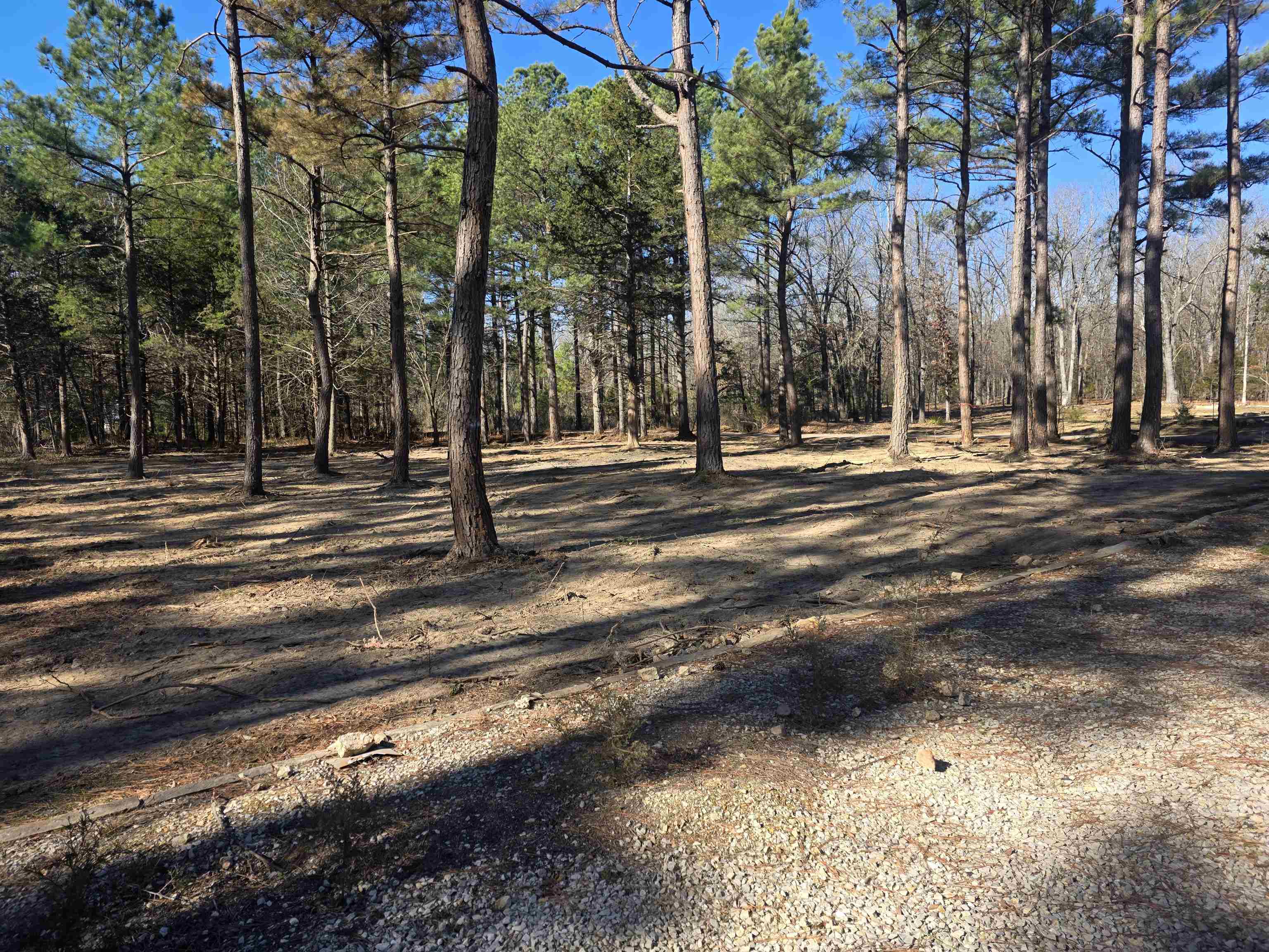 22 Tonsue  Cherokee Village, AR