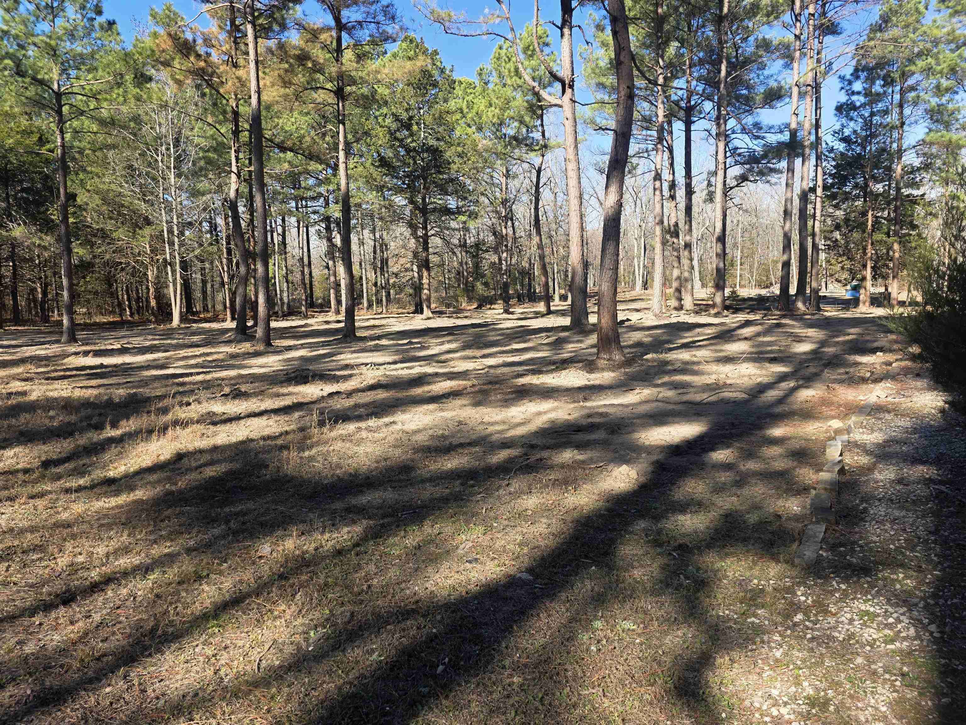 22 Tonsue  Cherokee Village, AR