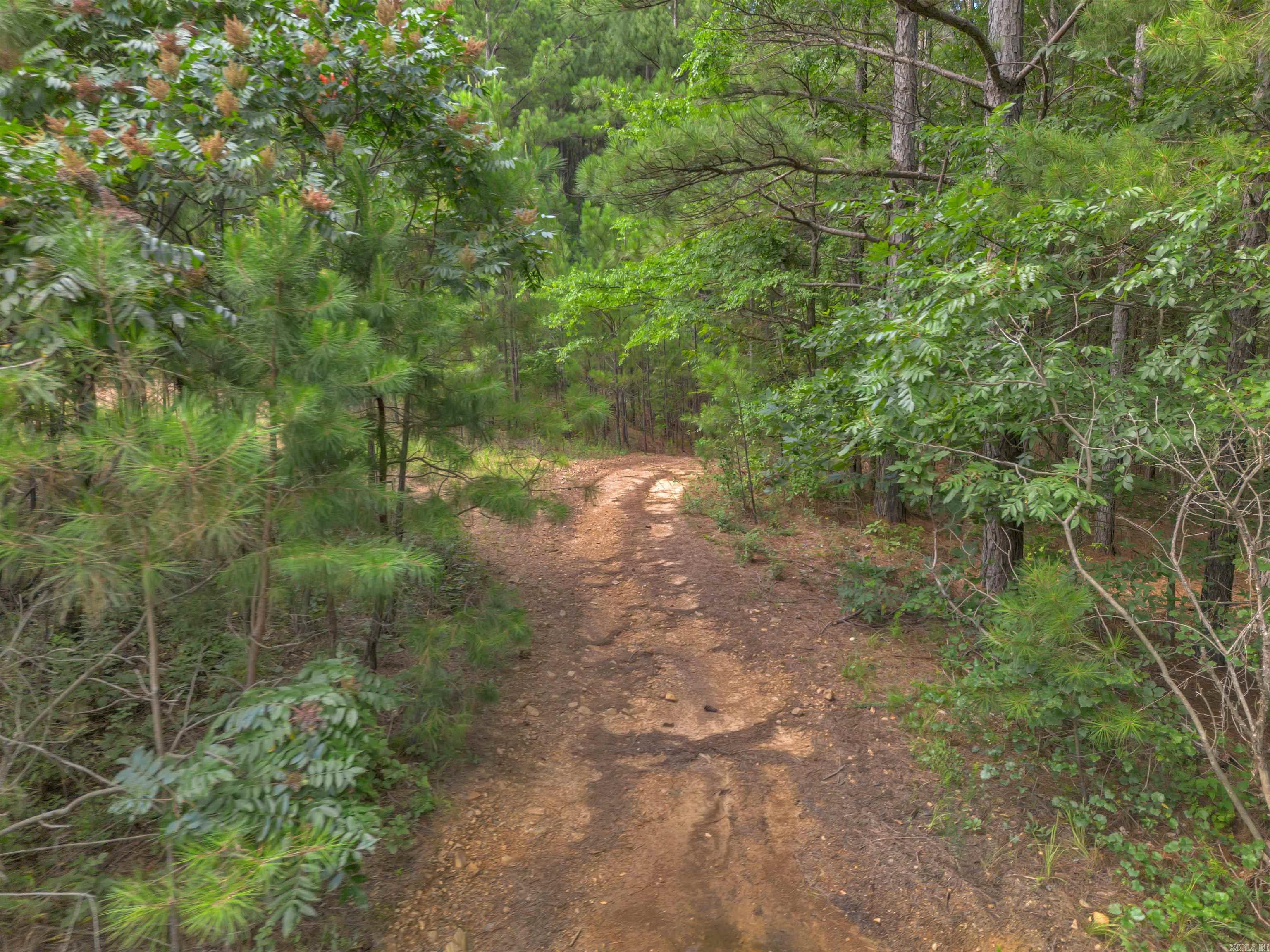 22 Dylan  Perryville, AR