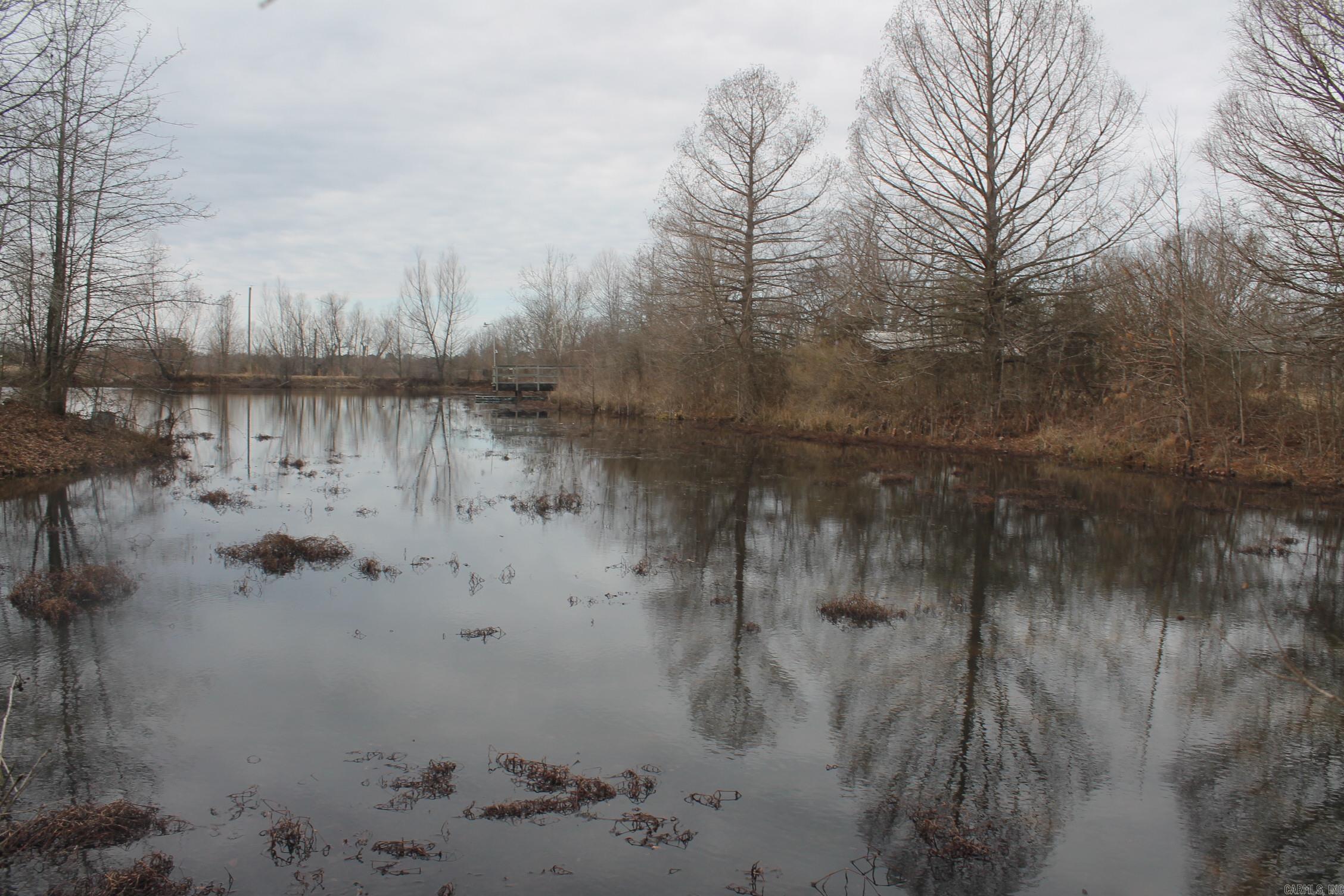 9 Circle  Prattsville, AR