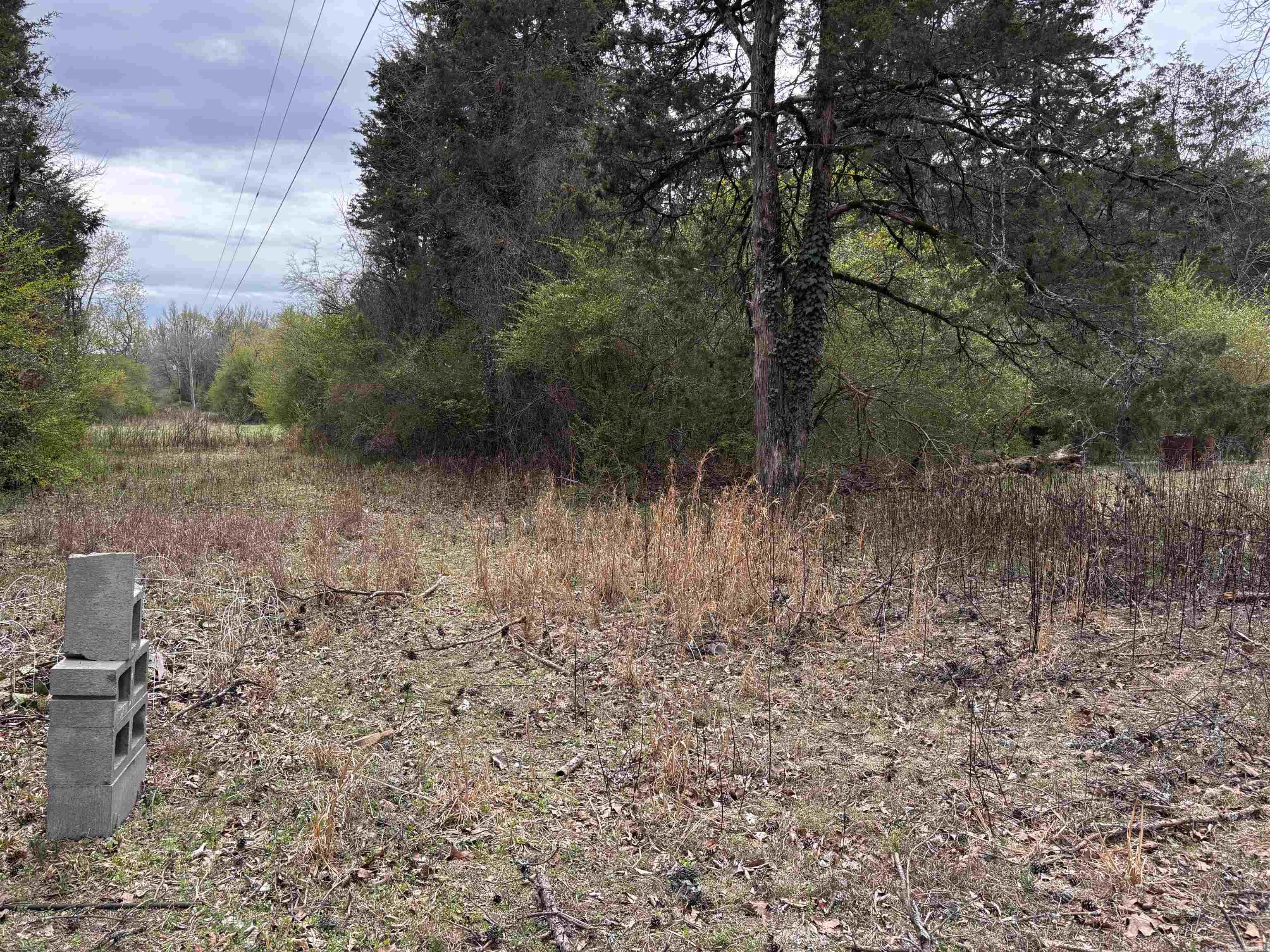 1 McGee  Jerusalem, AR