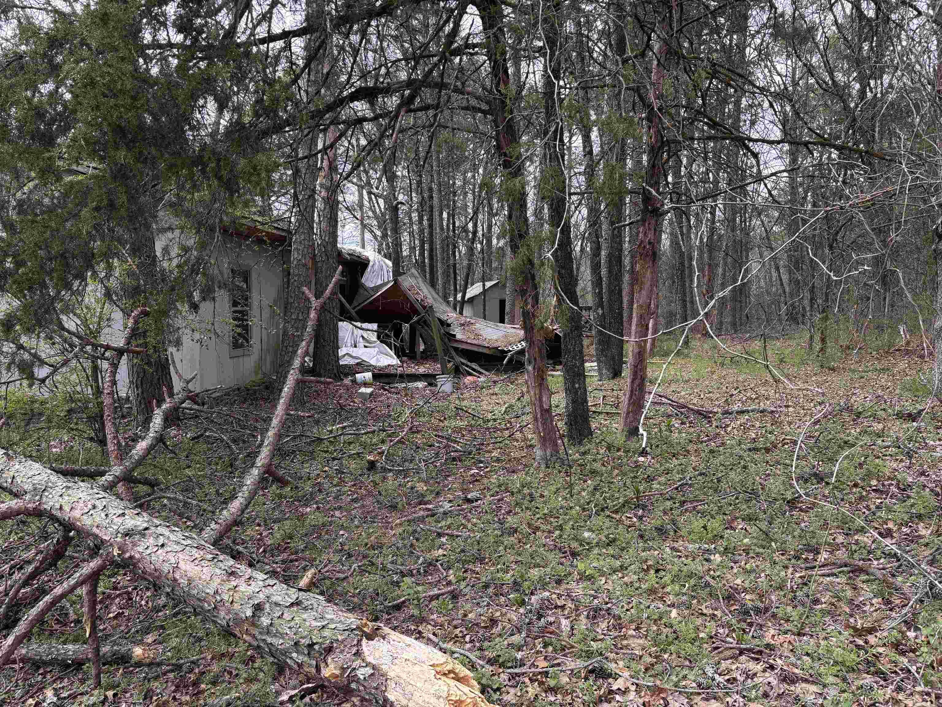 1 McGee  Jerusalem, AR