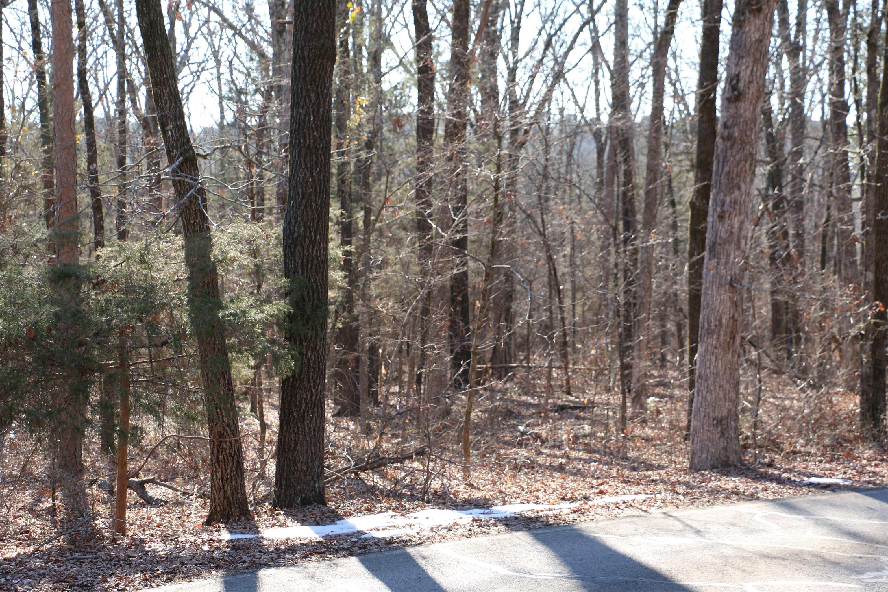 Lot 152 Woodlawn  Fairfield Bay, AR