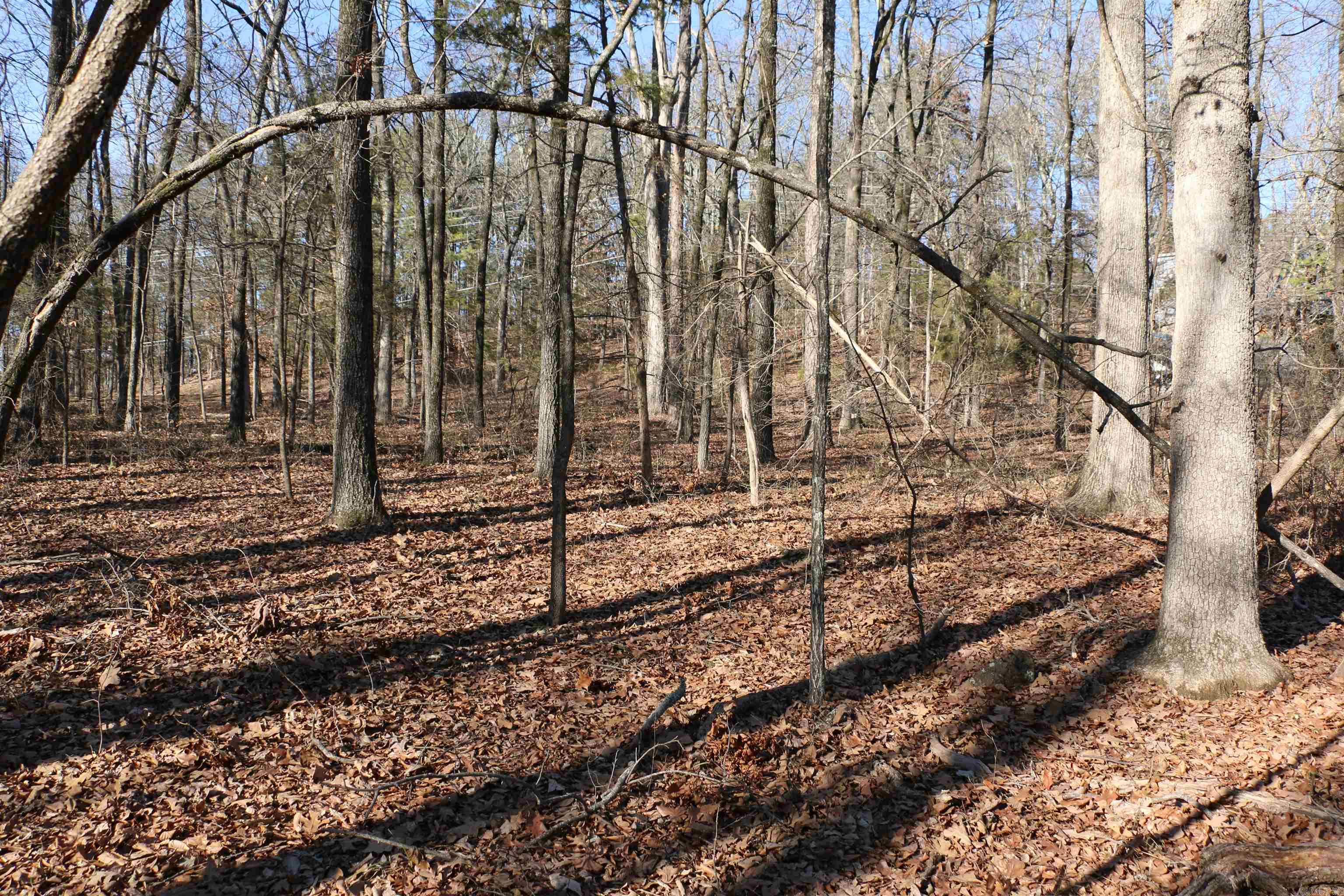 Lot 152 Woodlawn  Fairfield Bay, AR