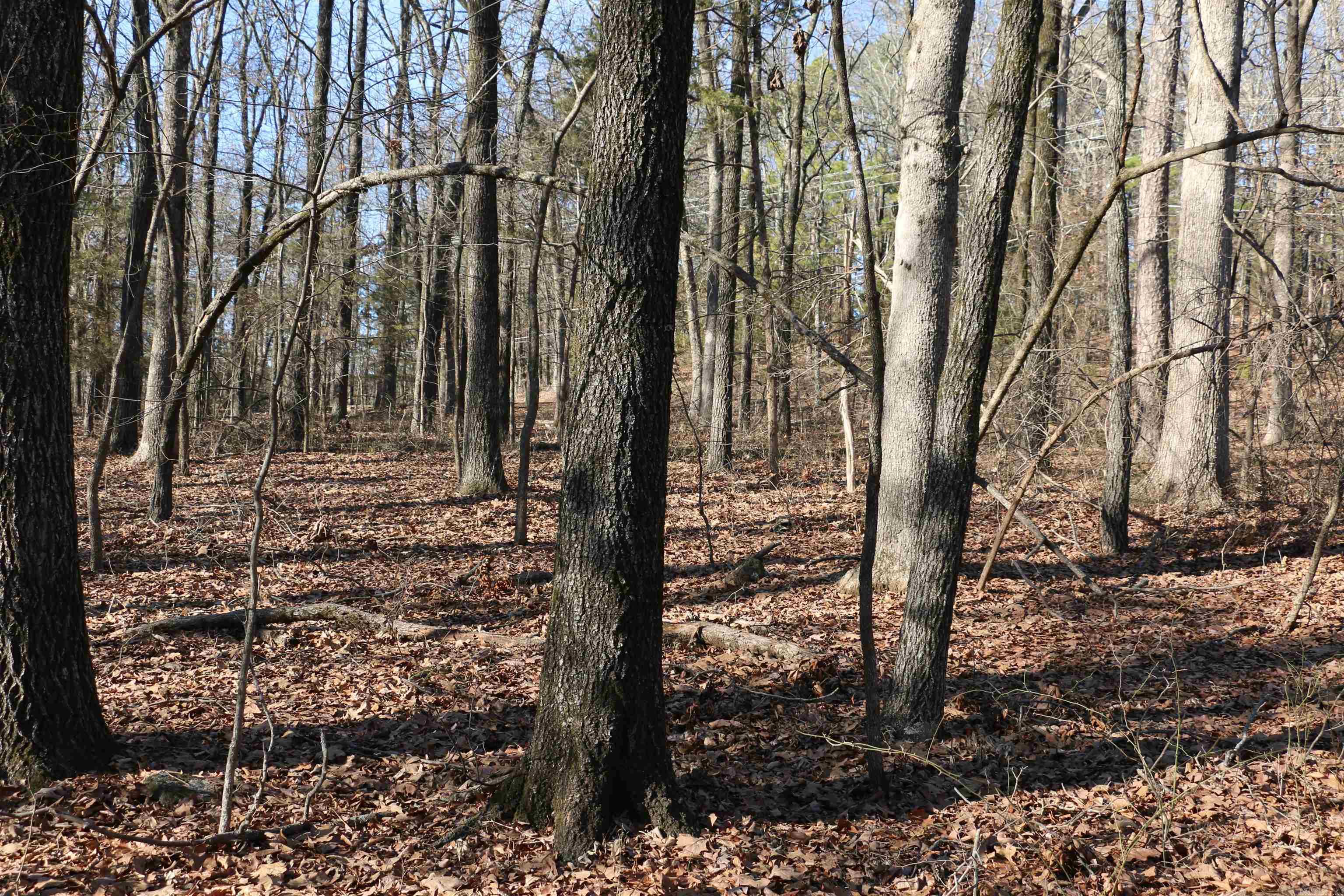 Lot 152 Woodlawn  Fairfield Bay, AR