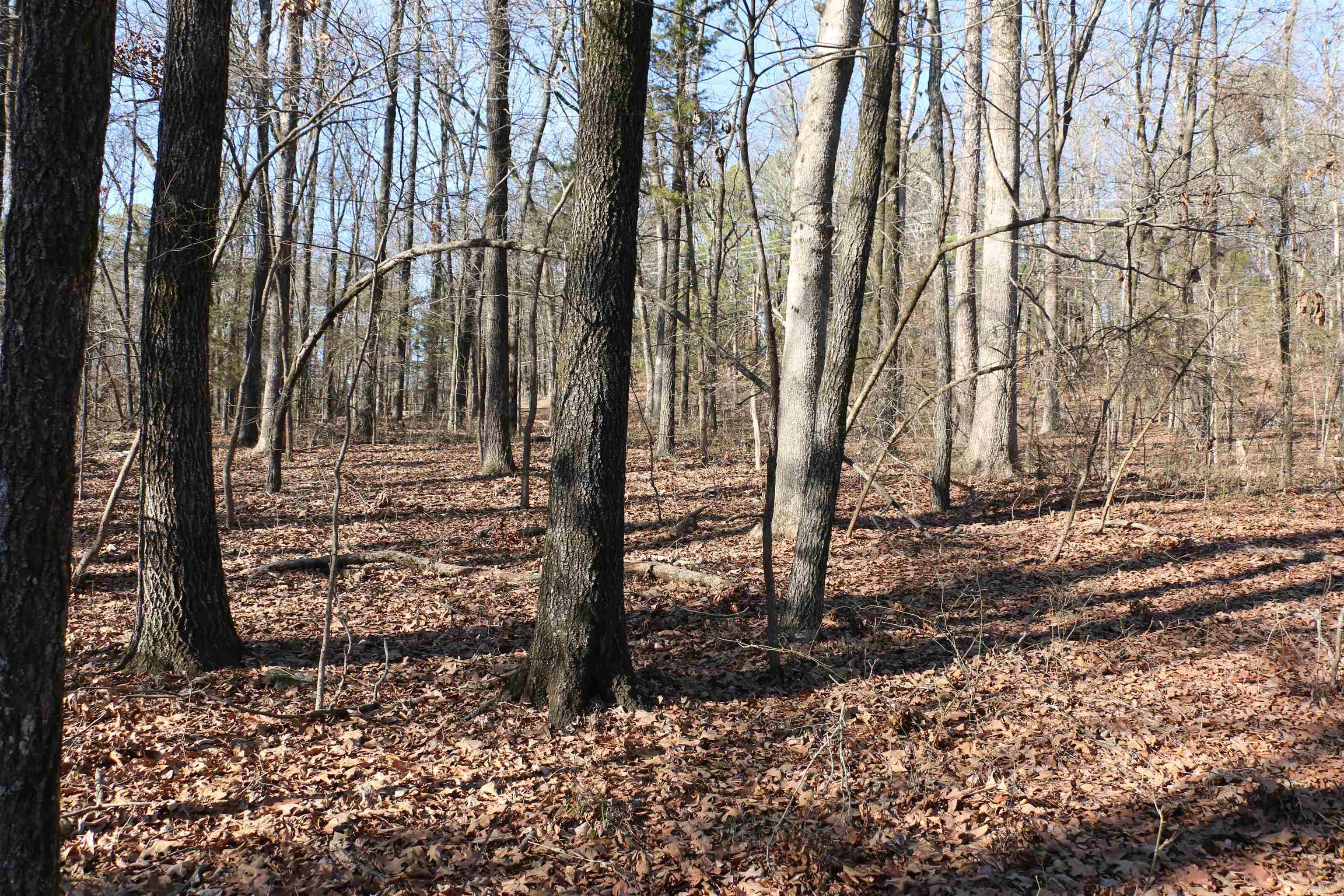 Lot 152 Woodlawn  Fairfield Bay, AR