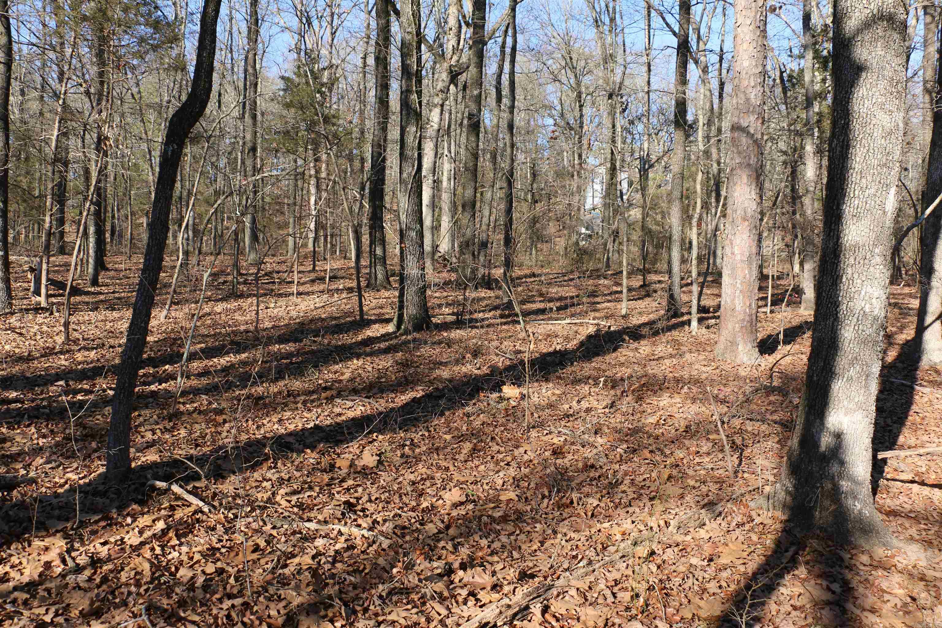 Lot 152 Woodlawn  Fairfield Bay, AR