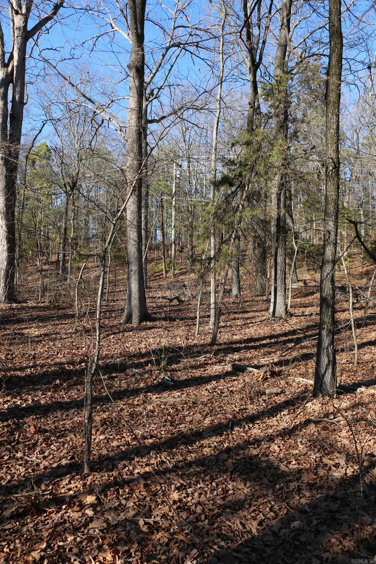 Lot 152 Woodlawn  Fairfield Bay, AR