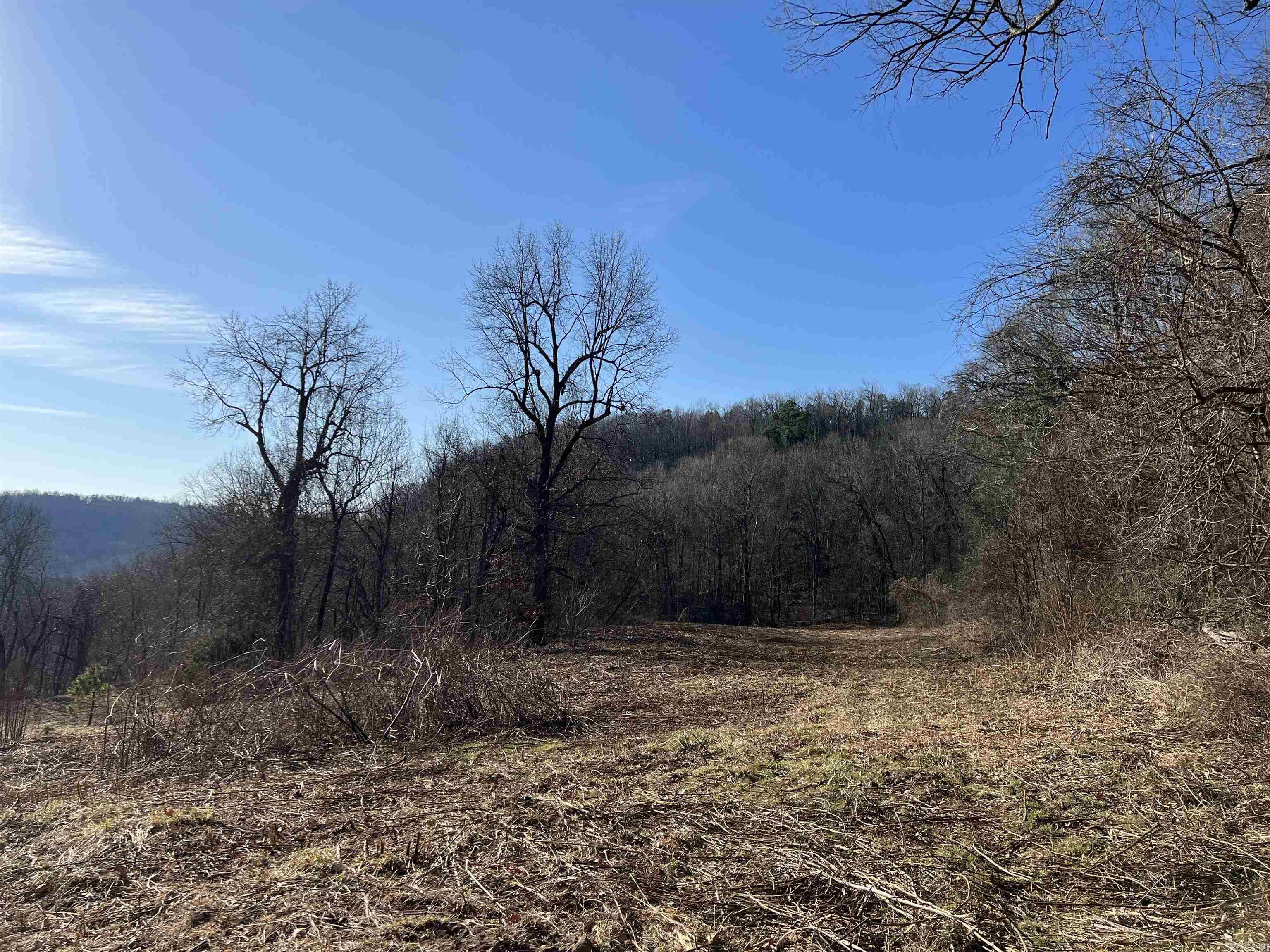  Terrapin  Harrison, AR