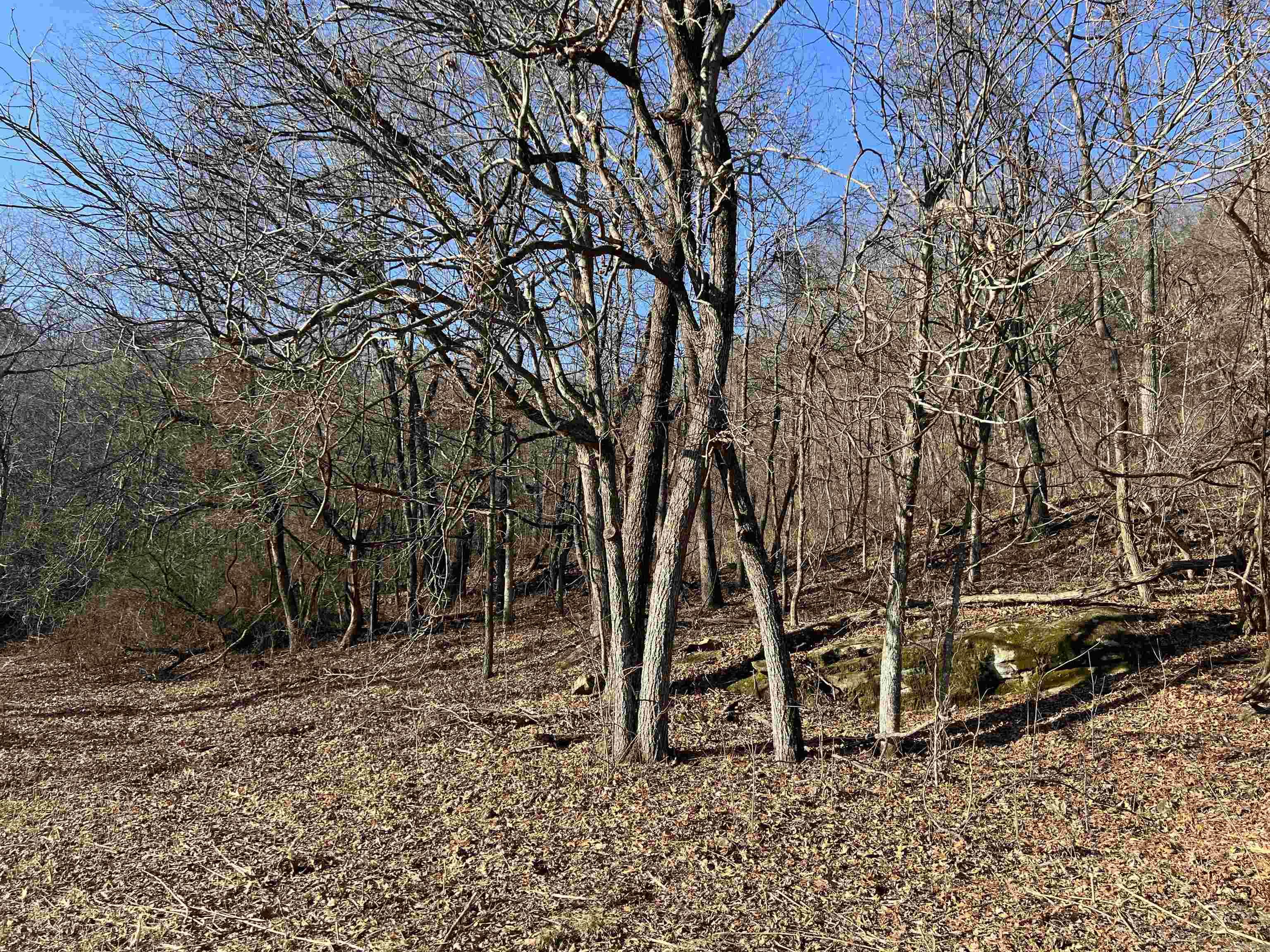  Terrapin  Harrison, AR