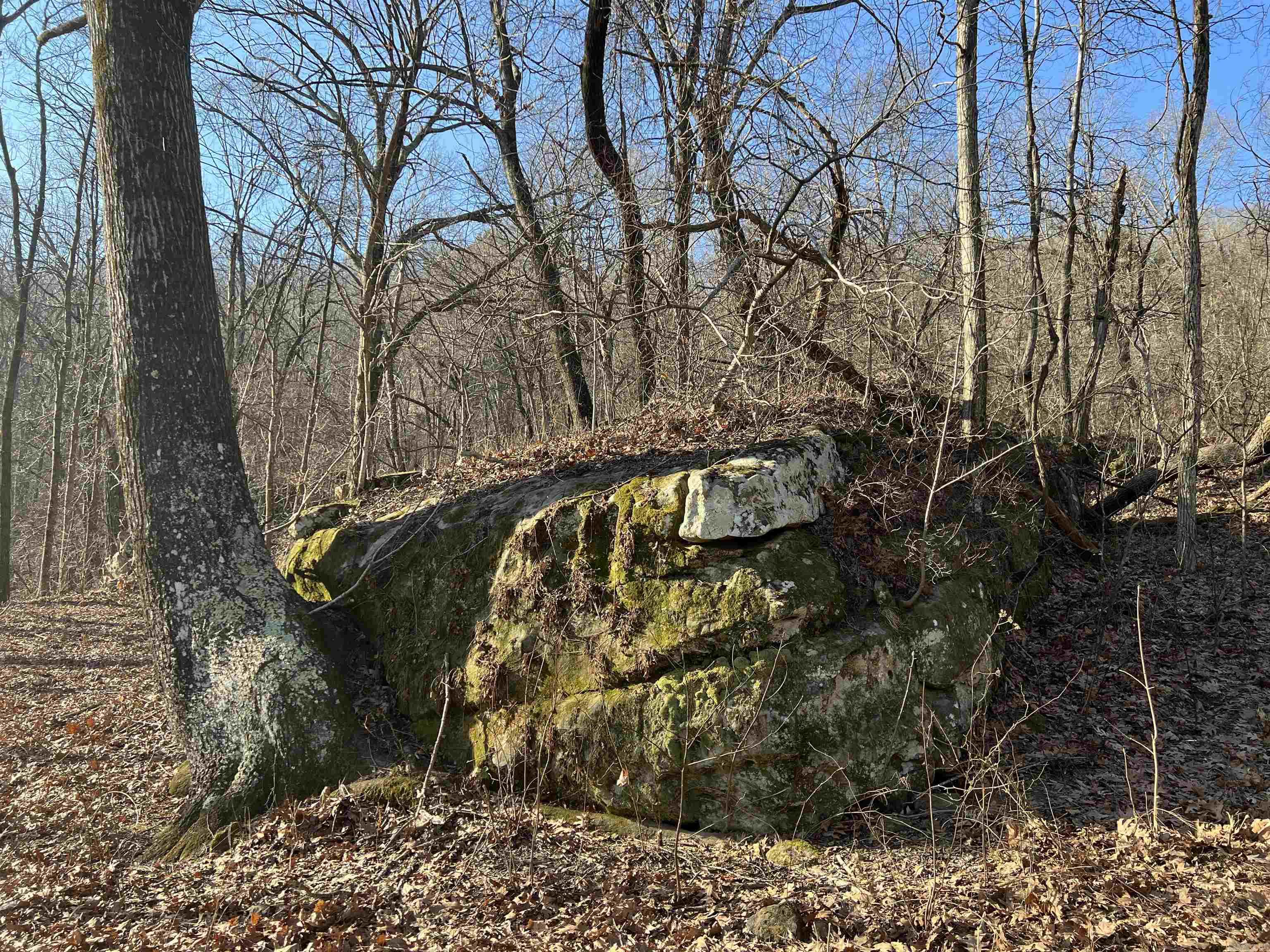 Terrapin  Harrison, AR