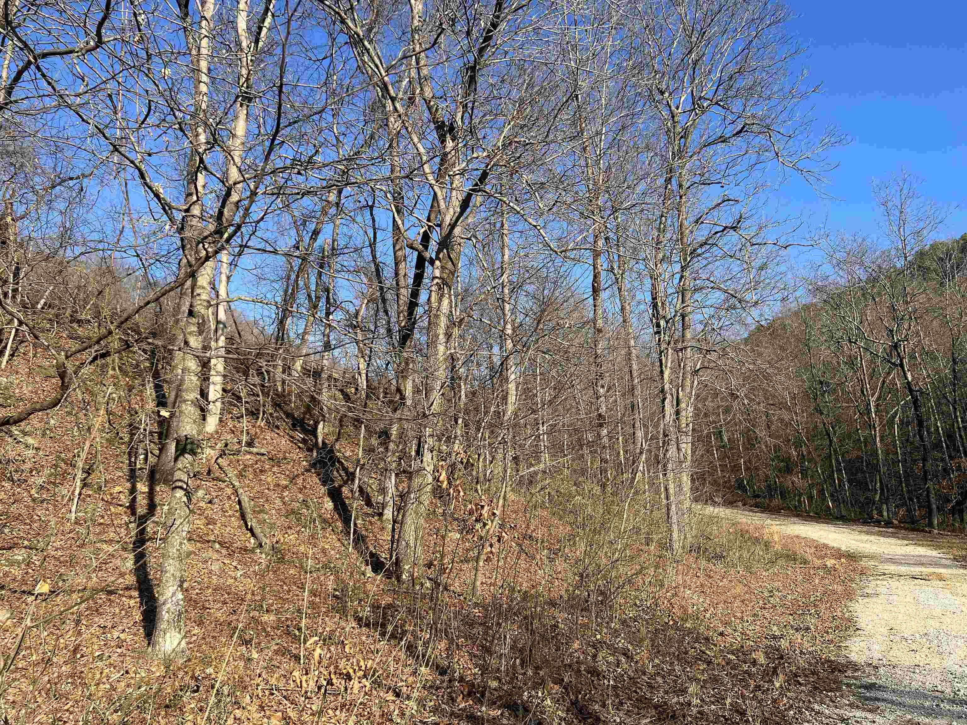  Terrapin  Harrison, AR