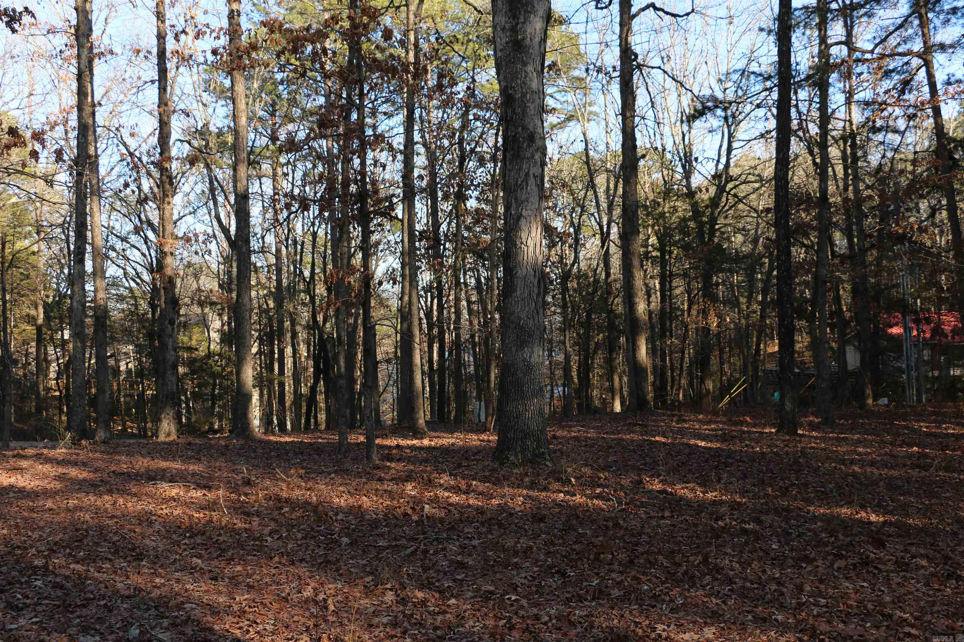 Lot 92 Dave Creek  Fairfield Bay, AR